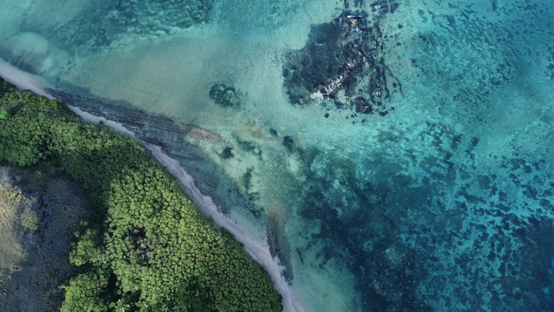 An aerial view of the ocean and land,