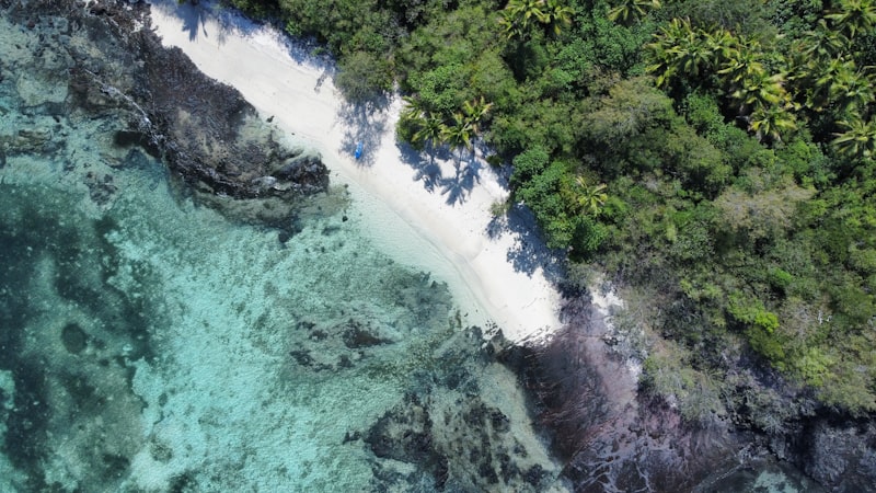 Top-down drone view of a narrow white beach between a coral reef flat and thick palm forest