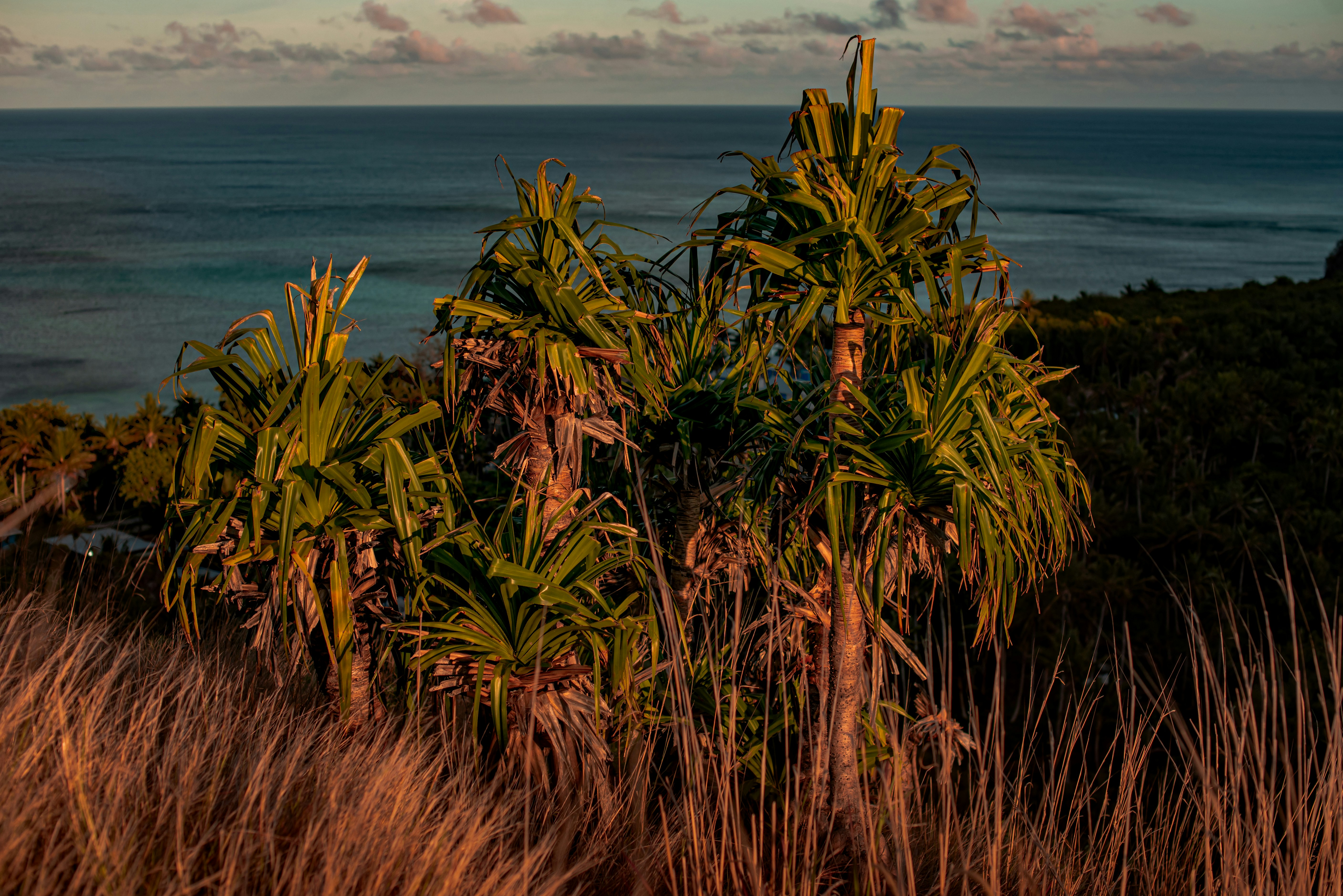 Yasawa Islands, Fiji - None