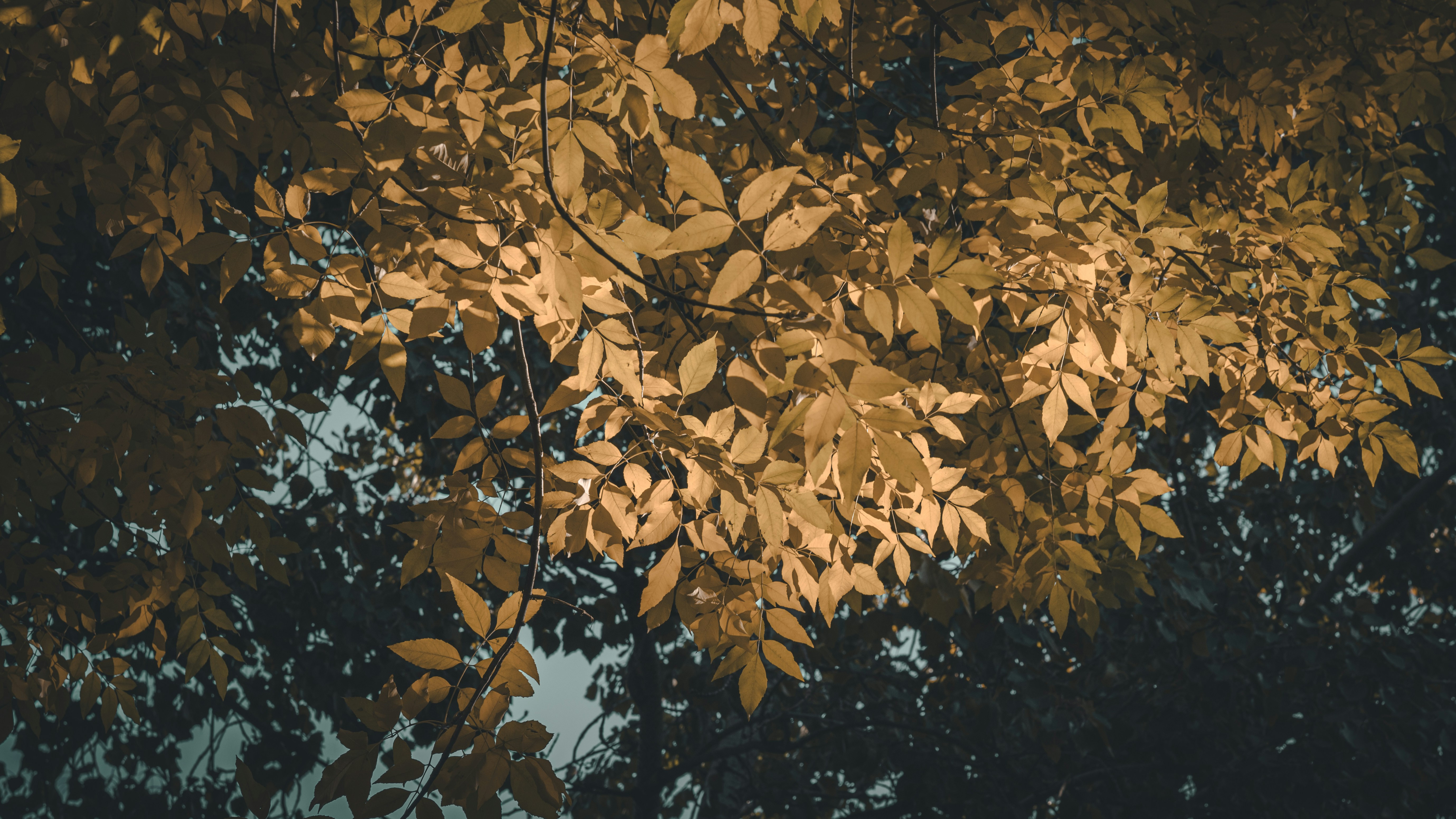 Photo by peek_a_boo_who