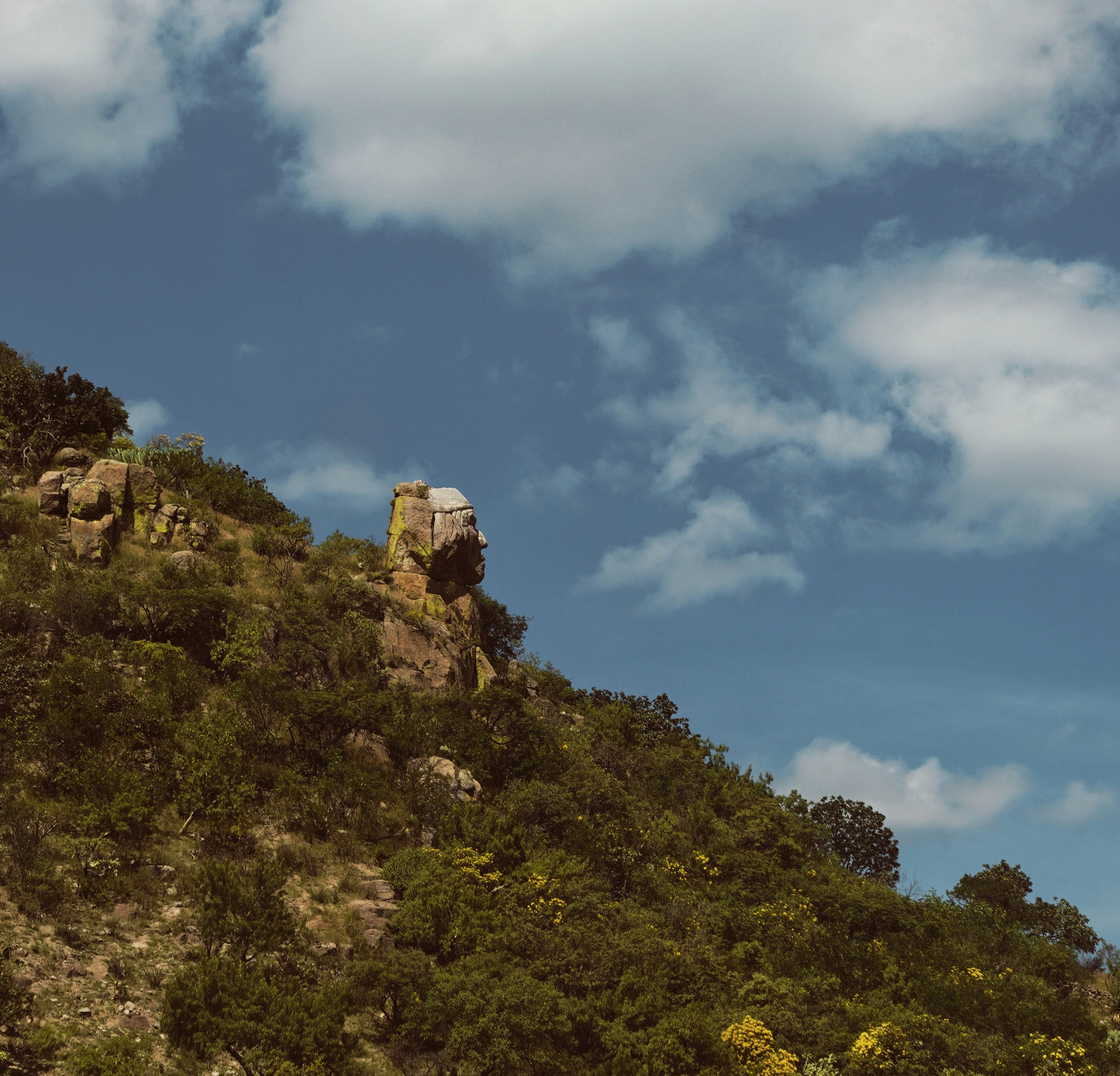 Photo by rogerismile