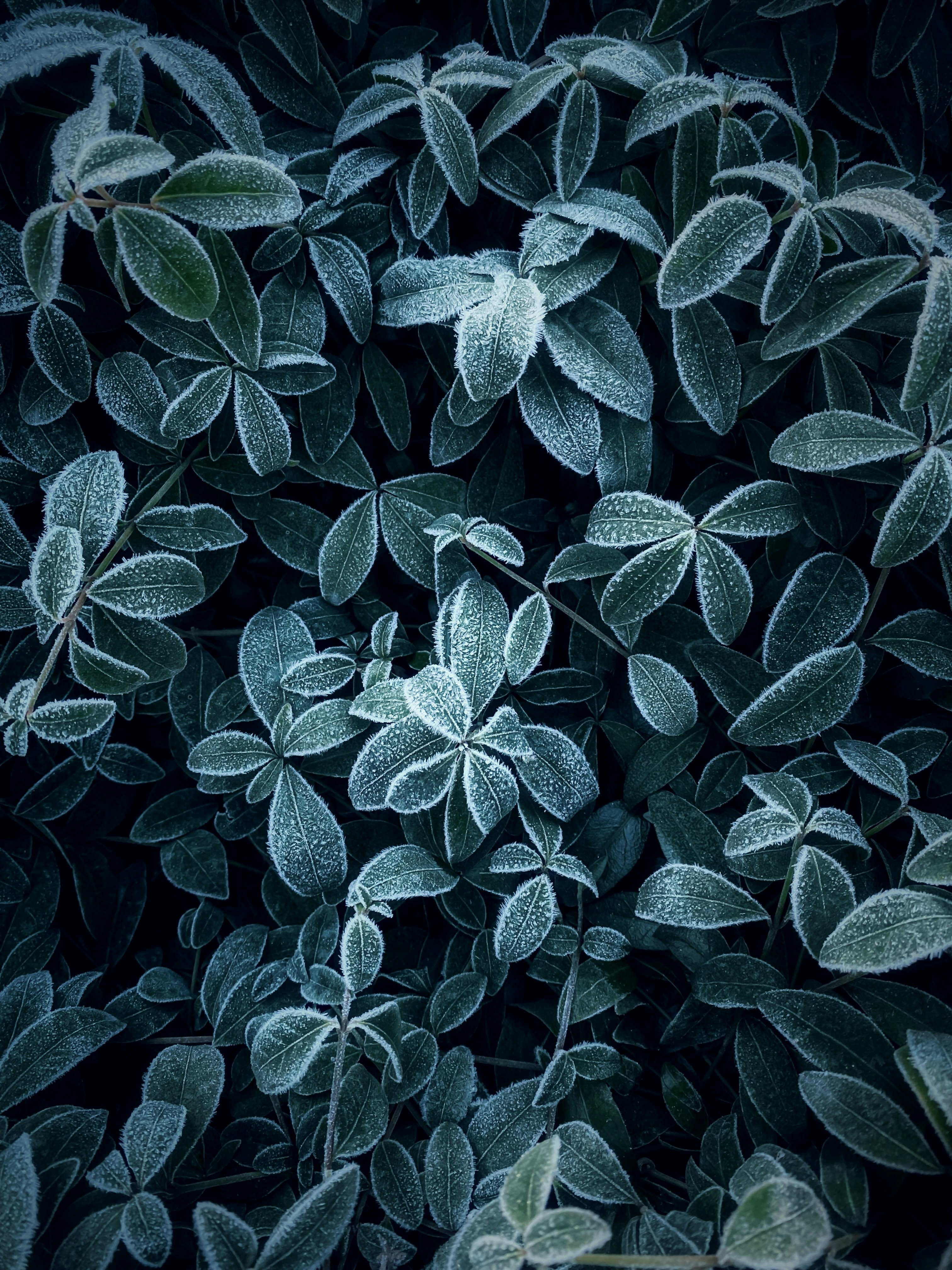 Photo by eugene_golovesov