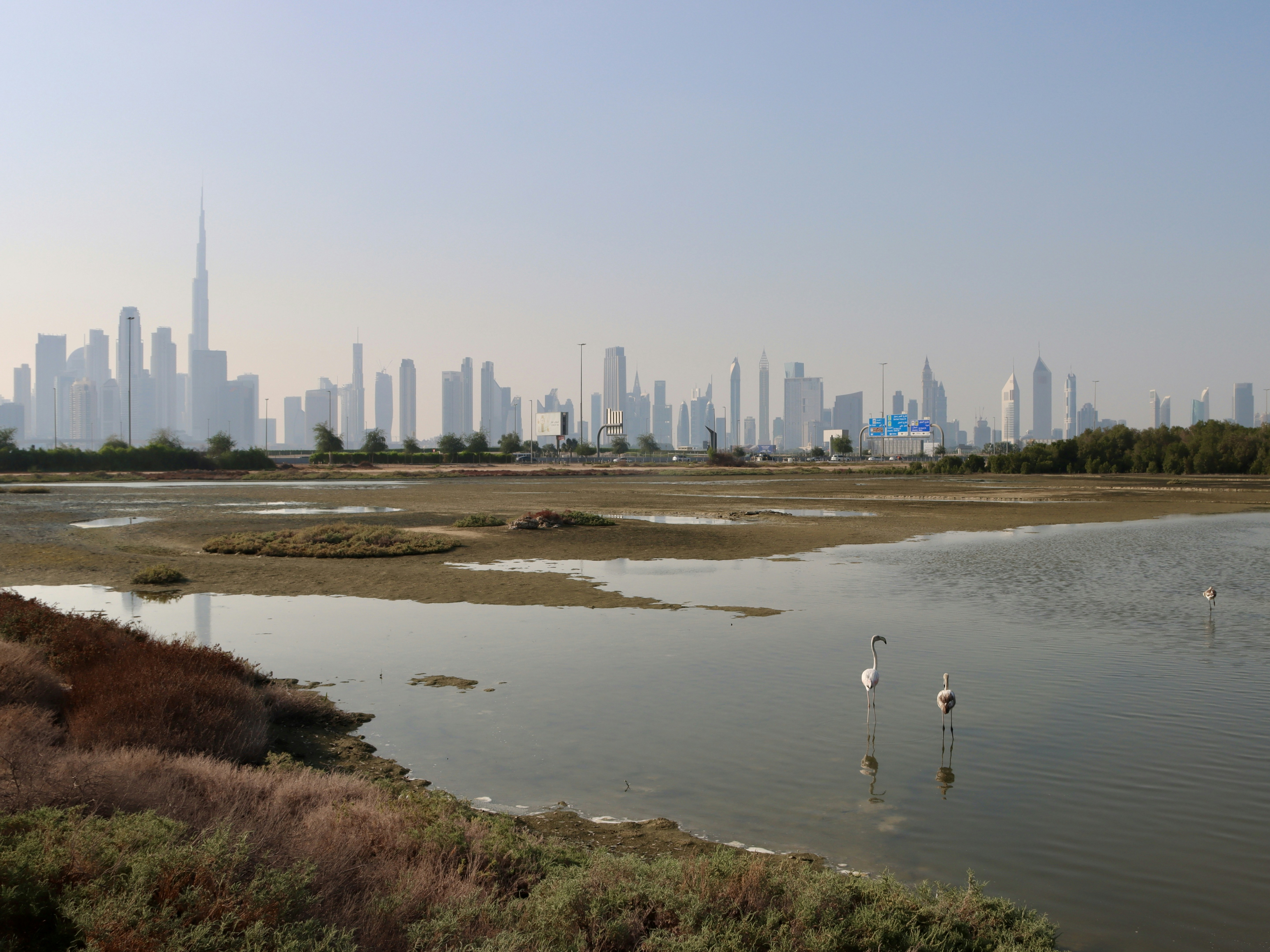 9. Jamaica Bay Wildlife Refuge Close to New York City (image credits: unsplash)