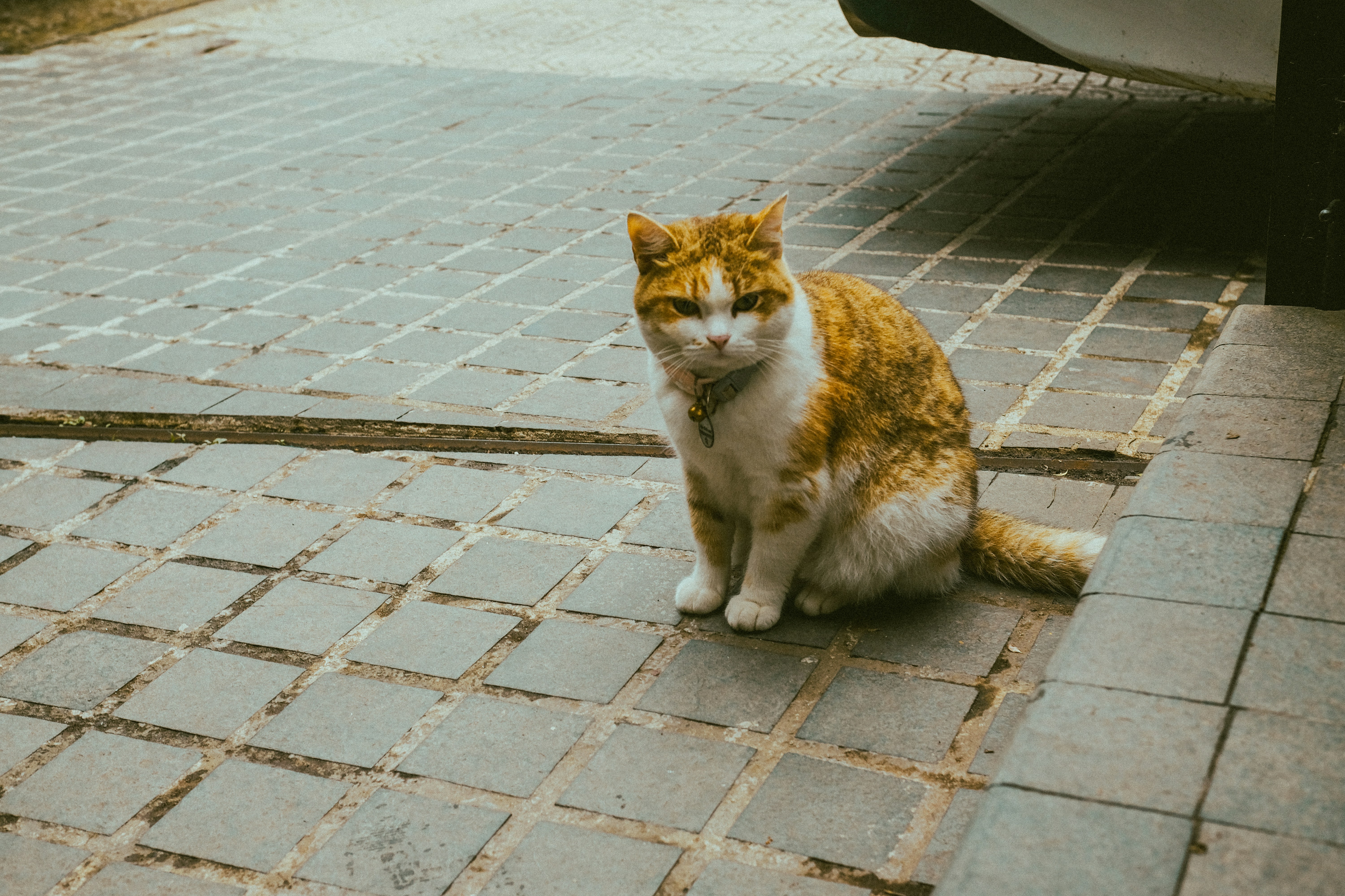 Photo by anniehatuanh