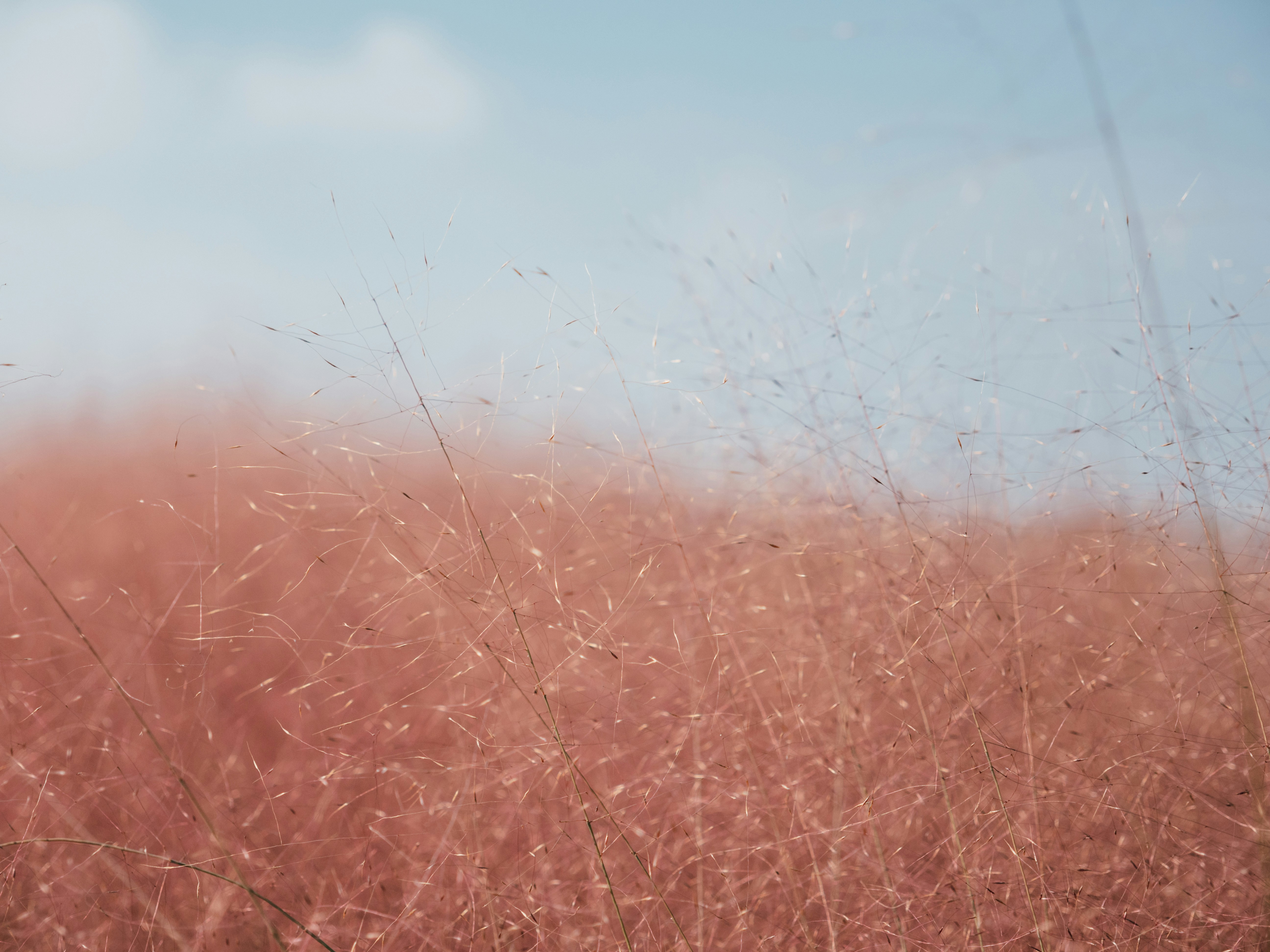 Photo by he_junhui
