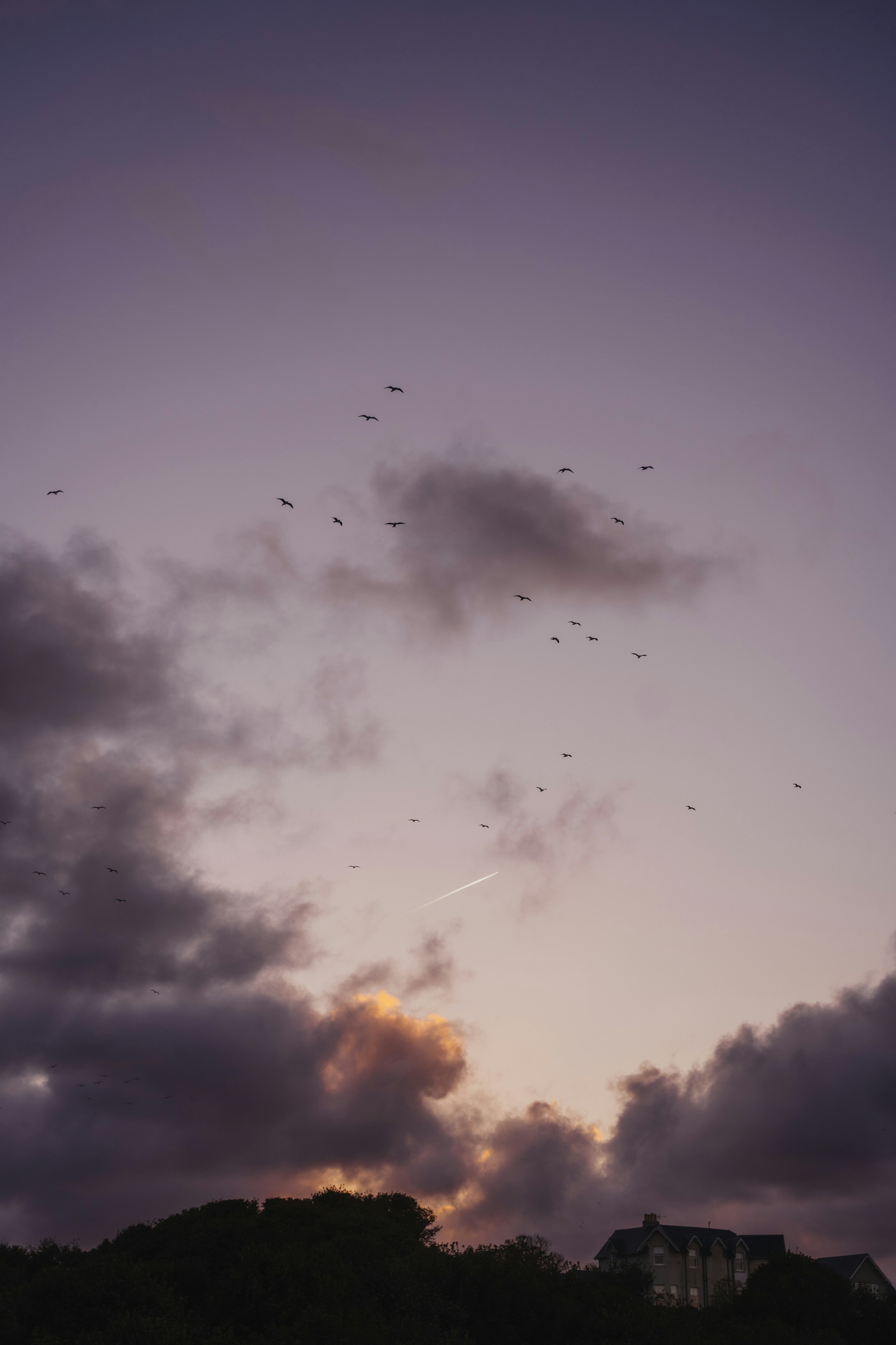 Photo by kirsten_frank