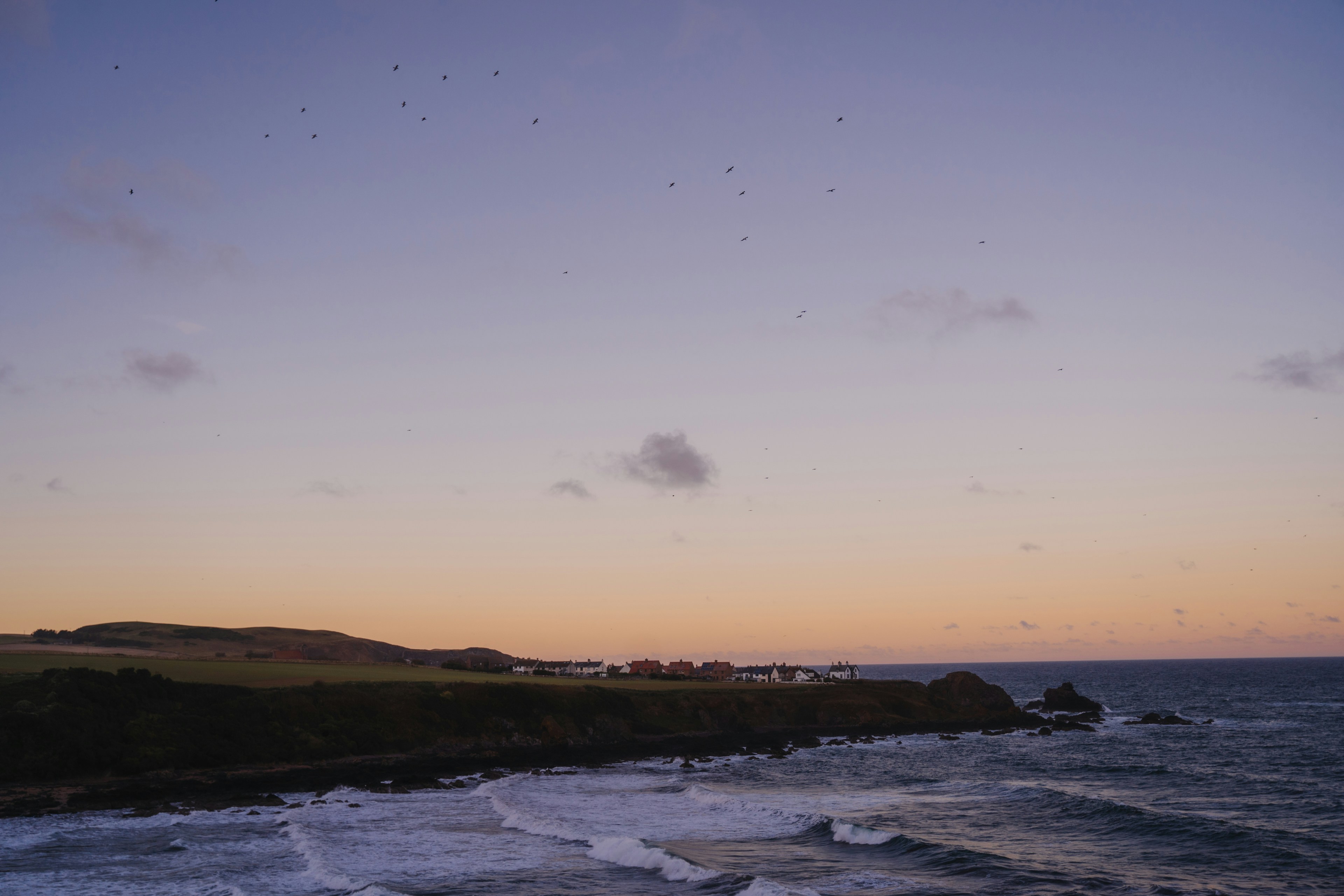 Photo by kirsten_frank