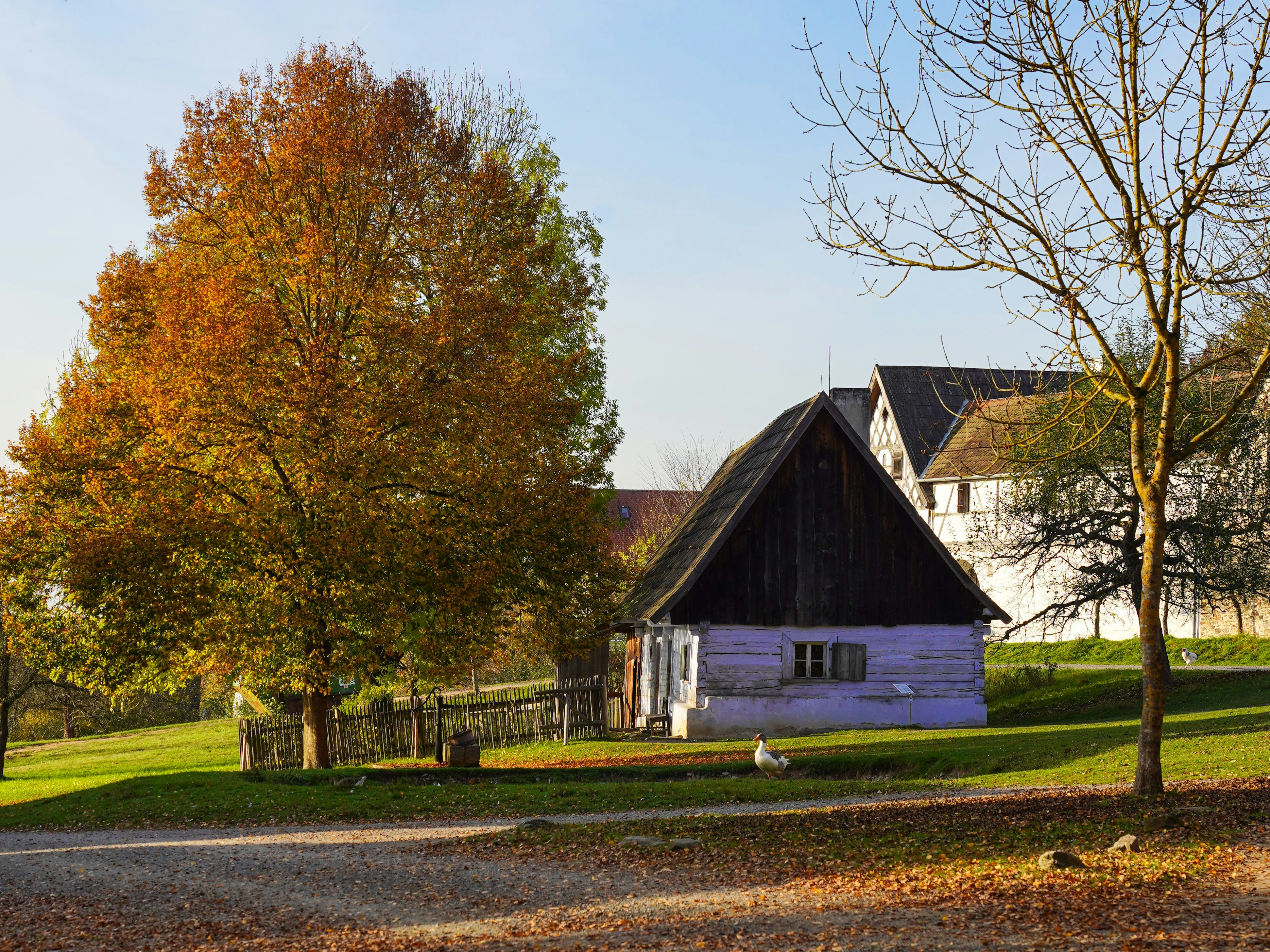 Photo by magictravel