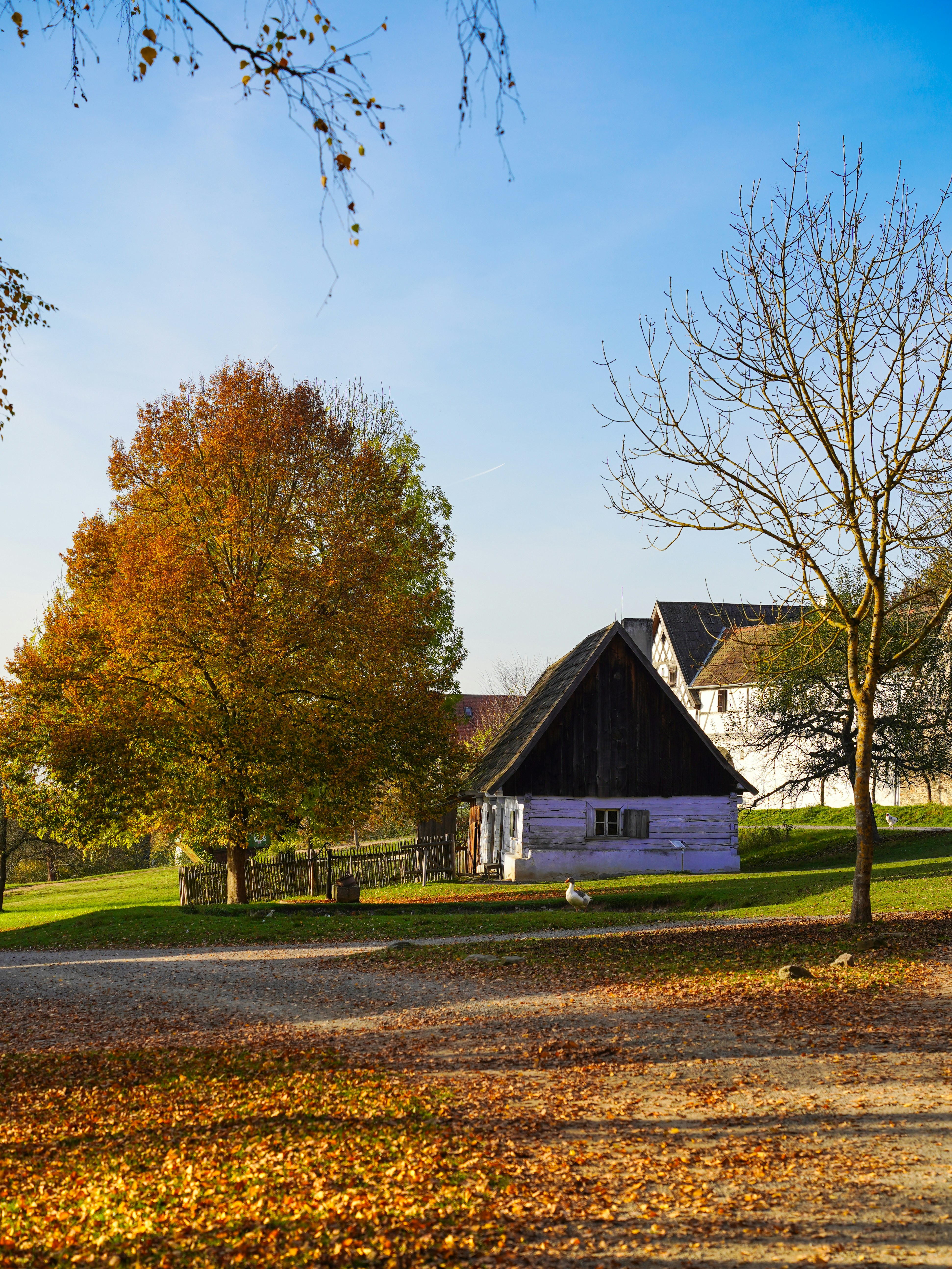 Photo by magictravel