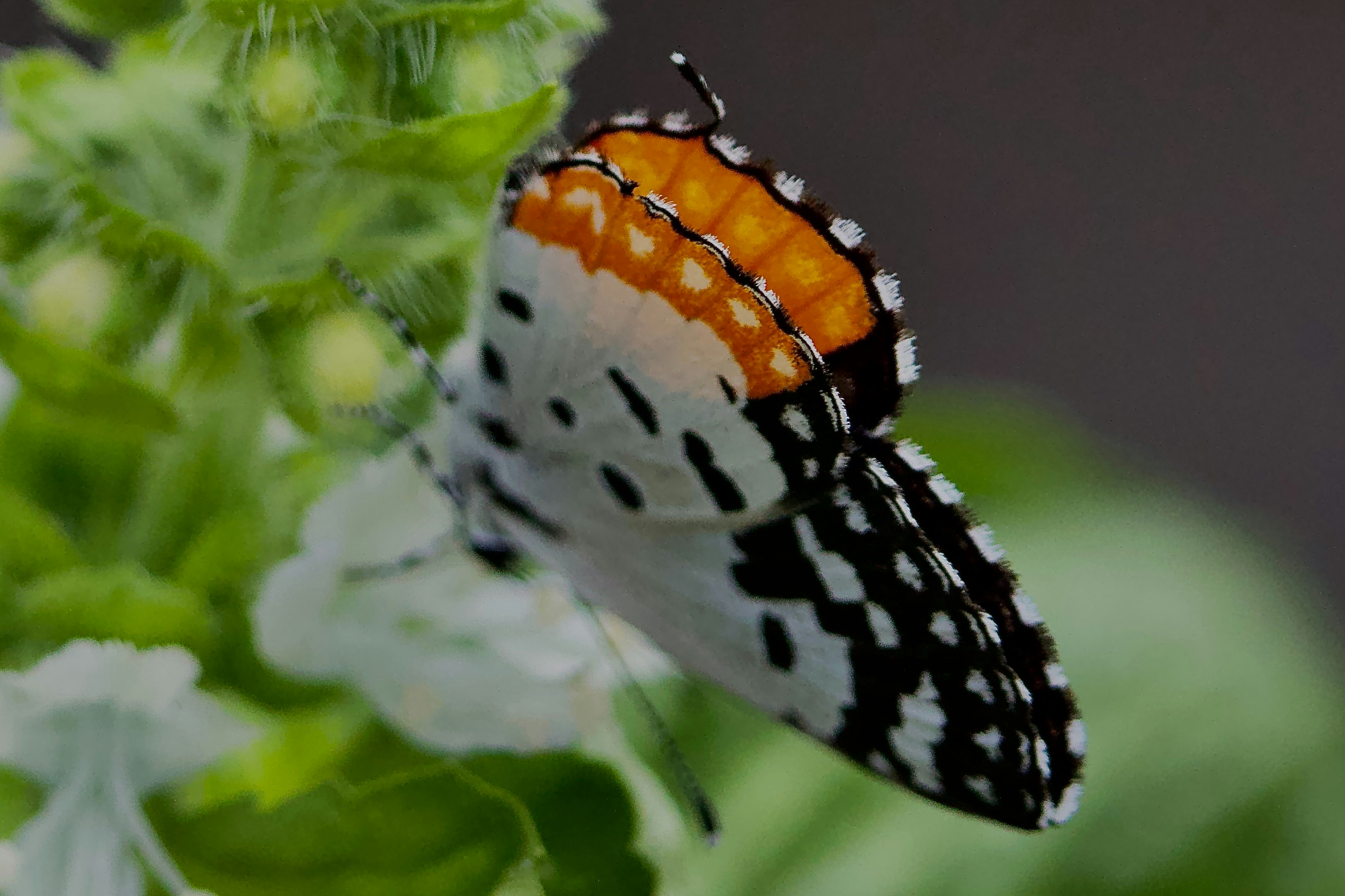 Photo by matthejeris