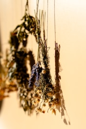 A bunch of dried flowers hanging from a wall
