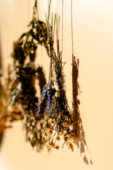 A bunch of dried flowers hanging from a wall