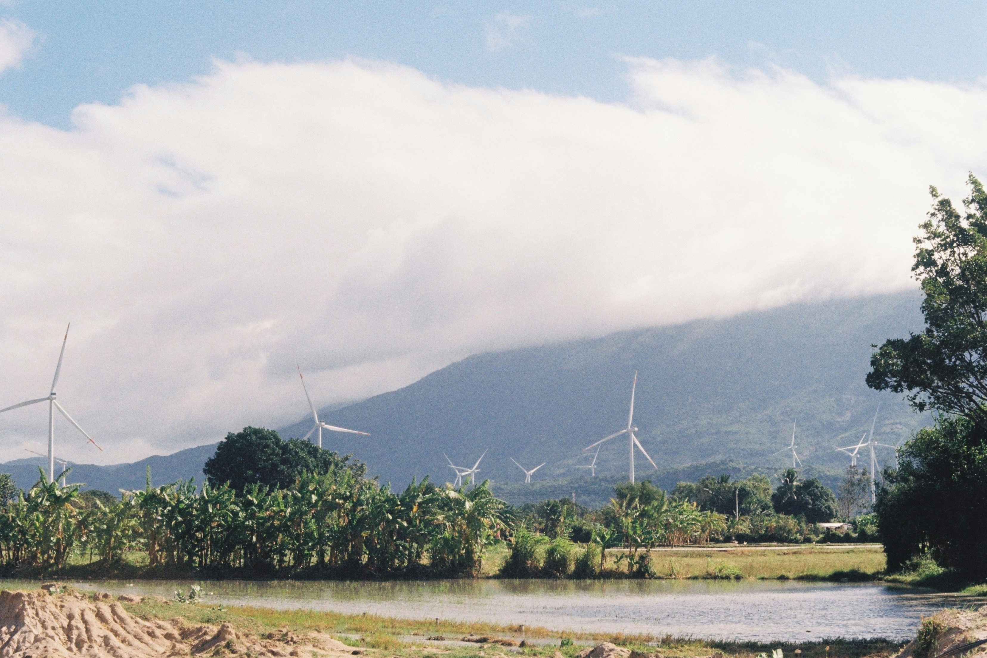 Photo by cuonfilmcuala