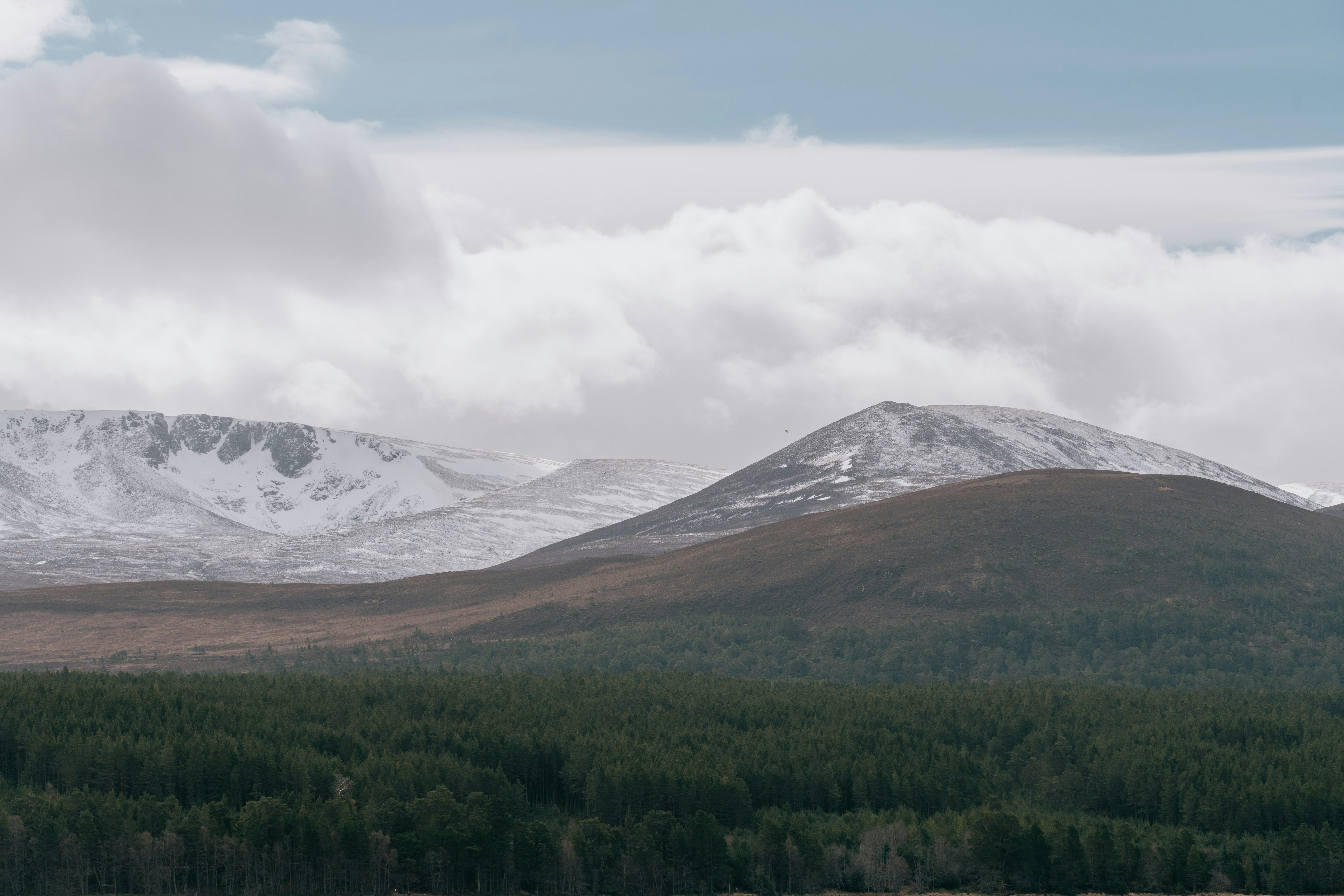 The Scottish highlands