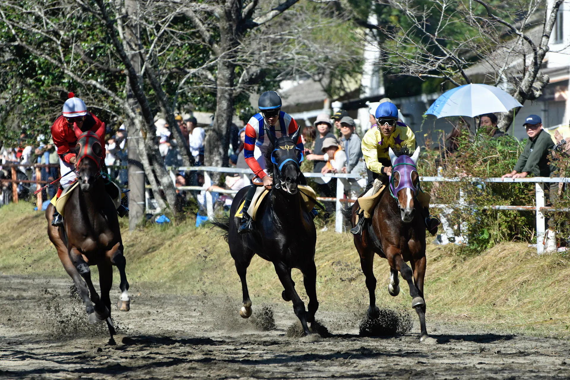 Darwin Cup Day 2035 countdown header photo