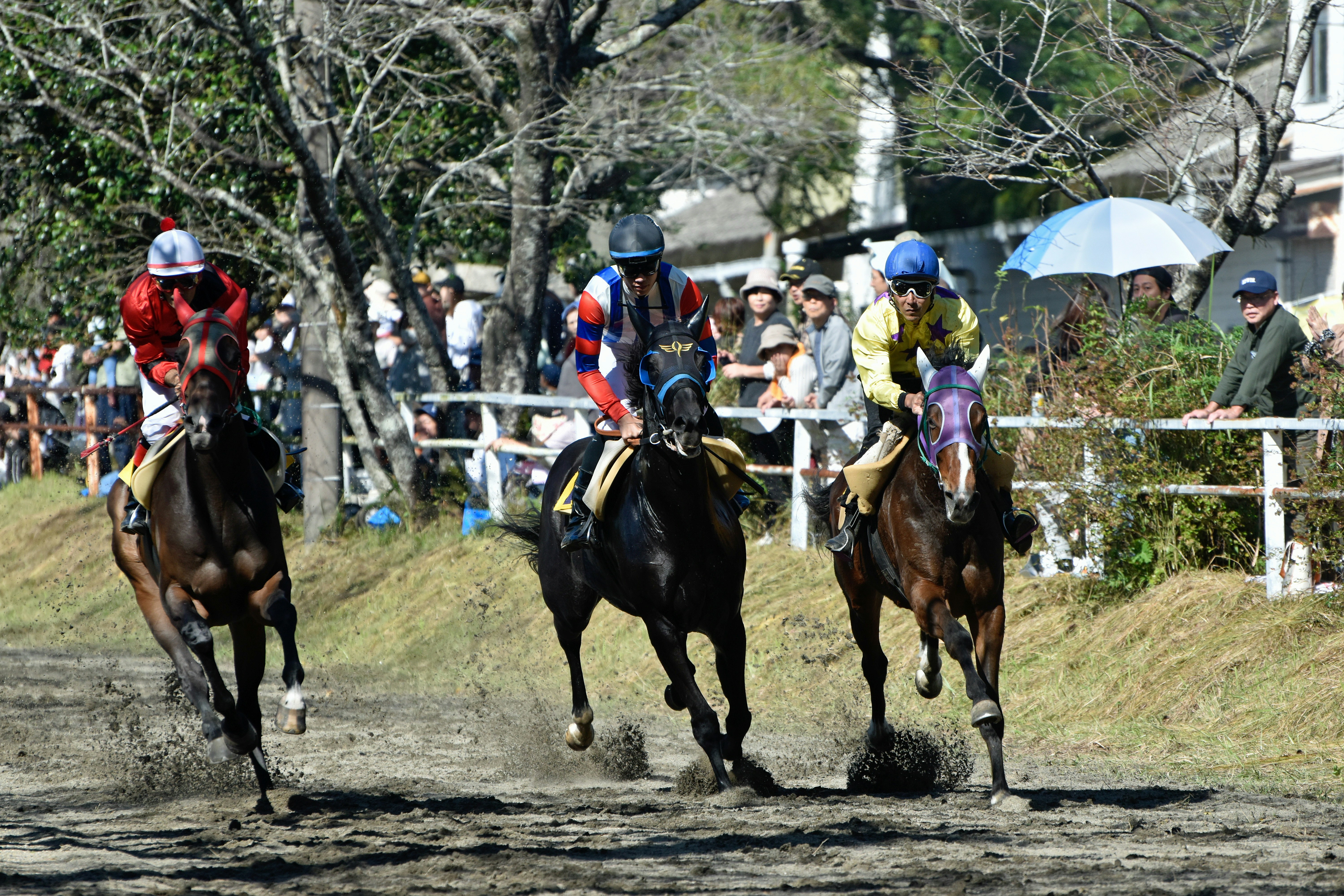 A group of people riding on the backs of horses