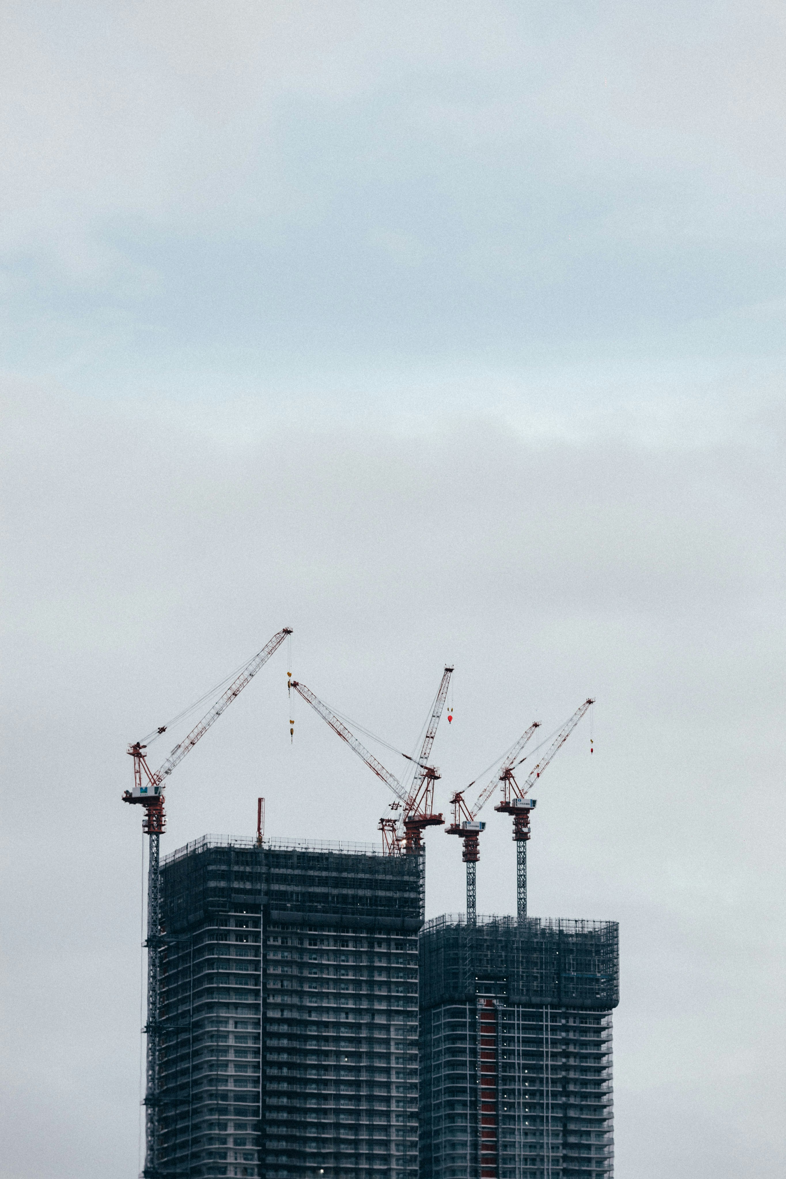 Photo by tsuyoshikozu