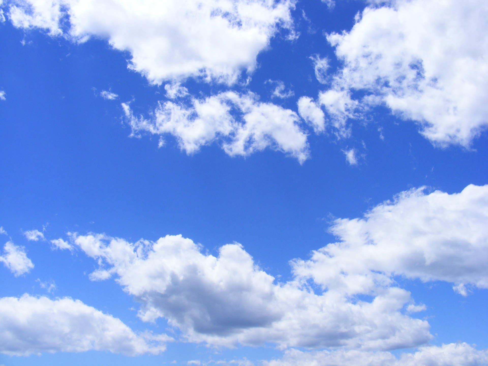 A field of grass with a blue sky in the background