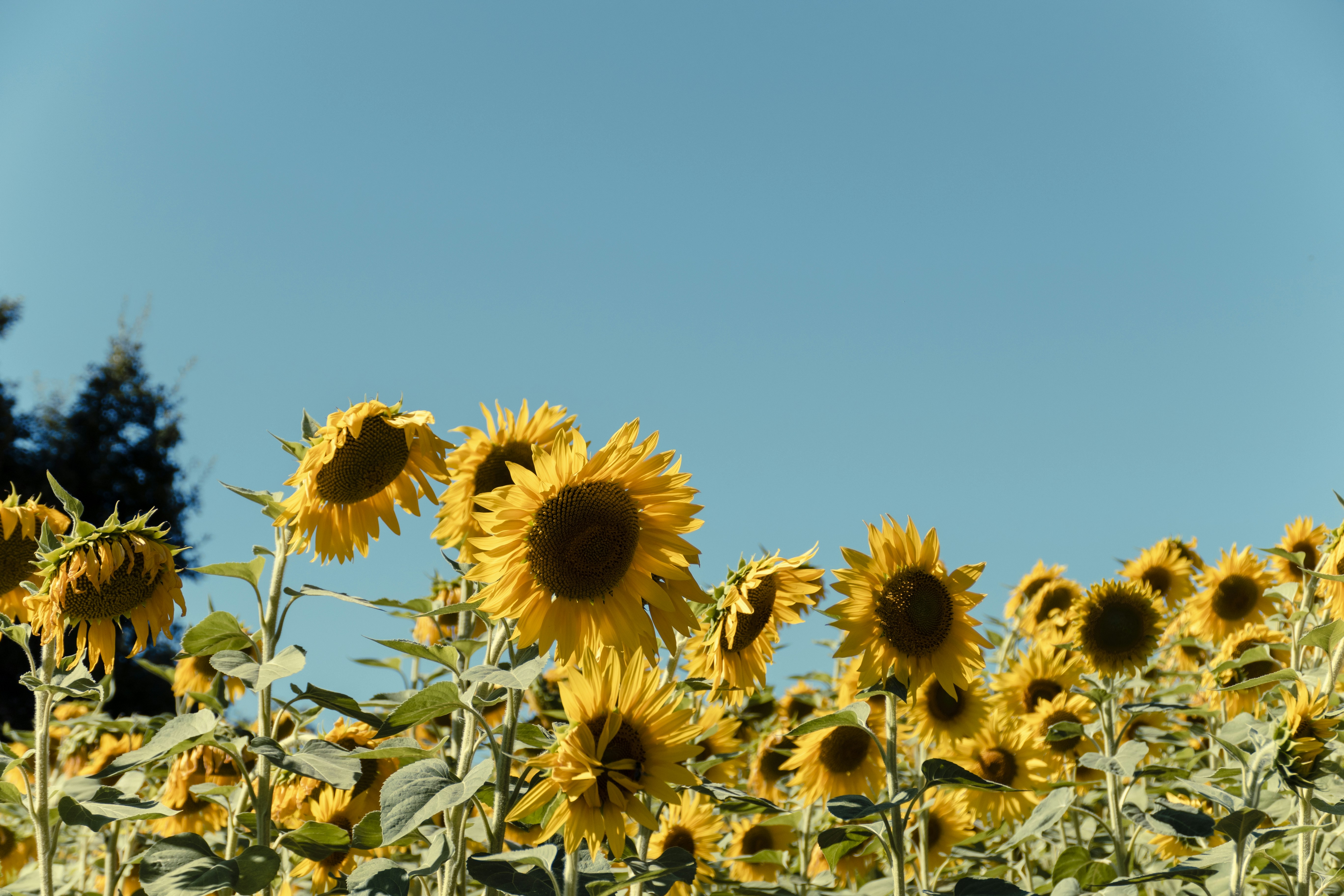 Photo by costablancaphotographer