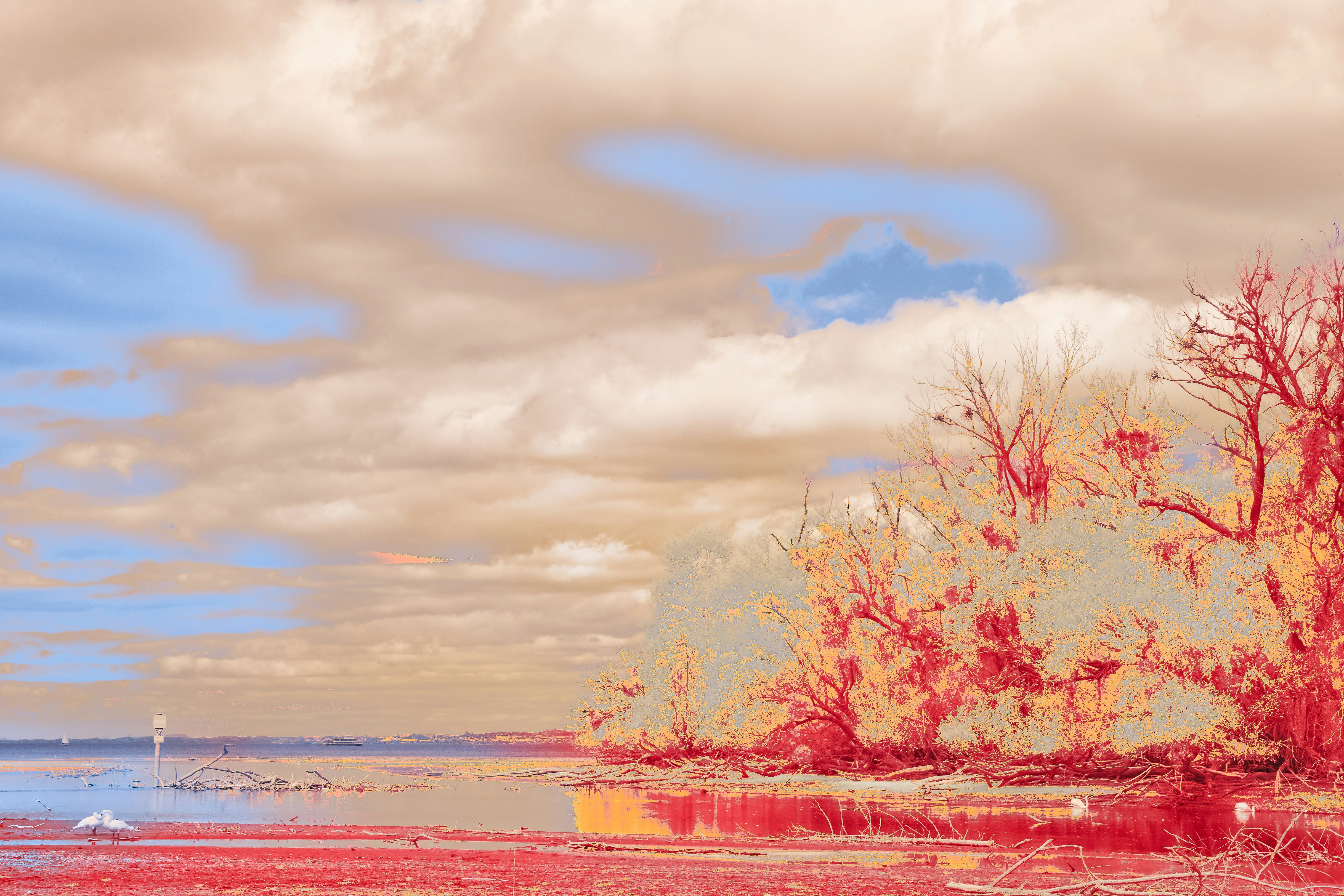 Photo by wolfgang_hasselmann