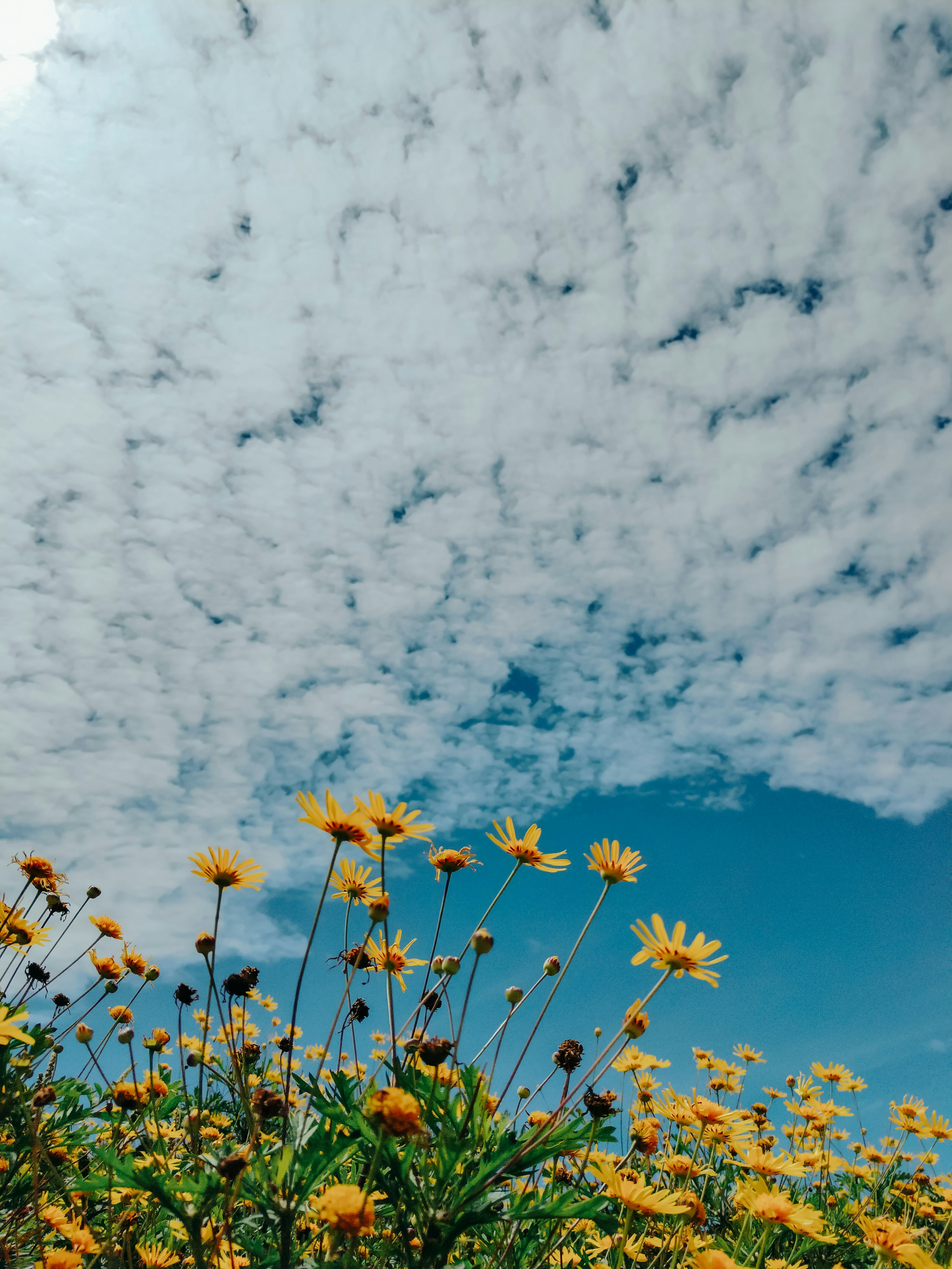 Photo by farsanamanaf