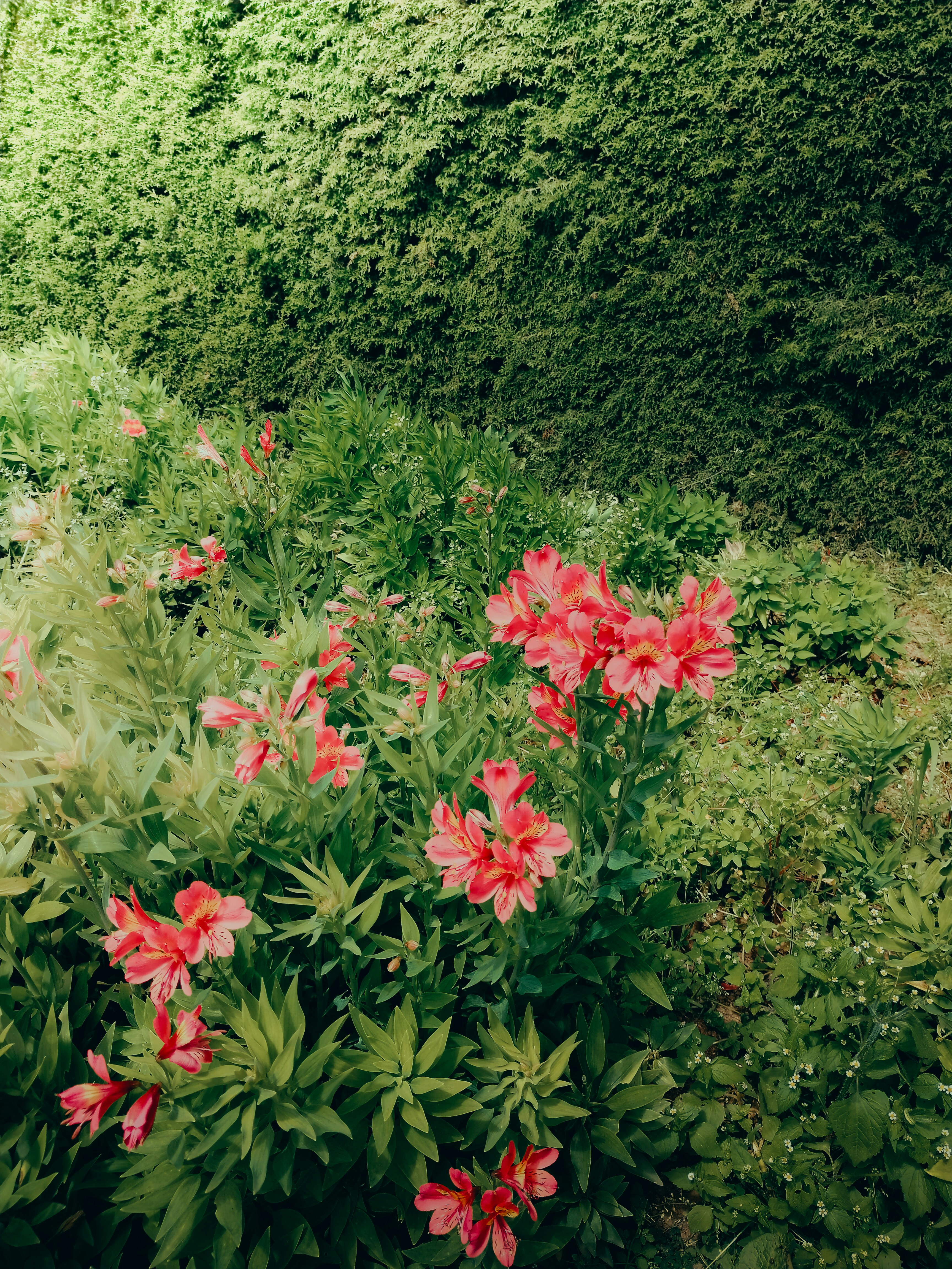 Photo by farsanamanaf