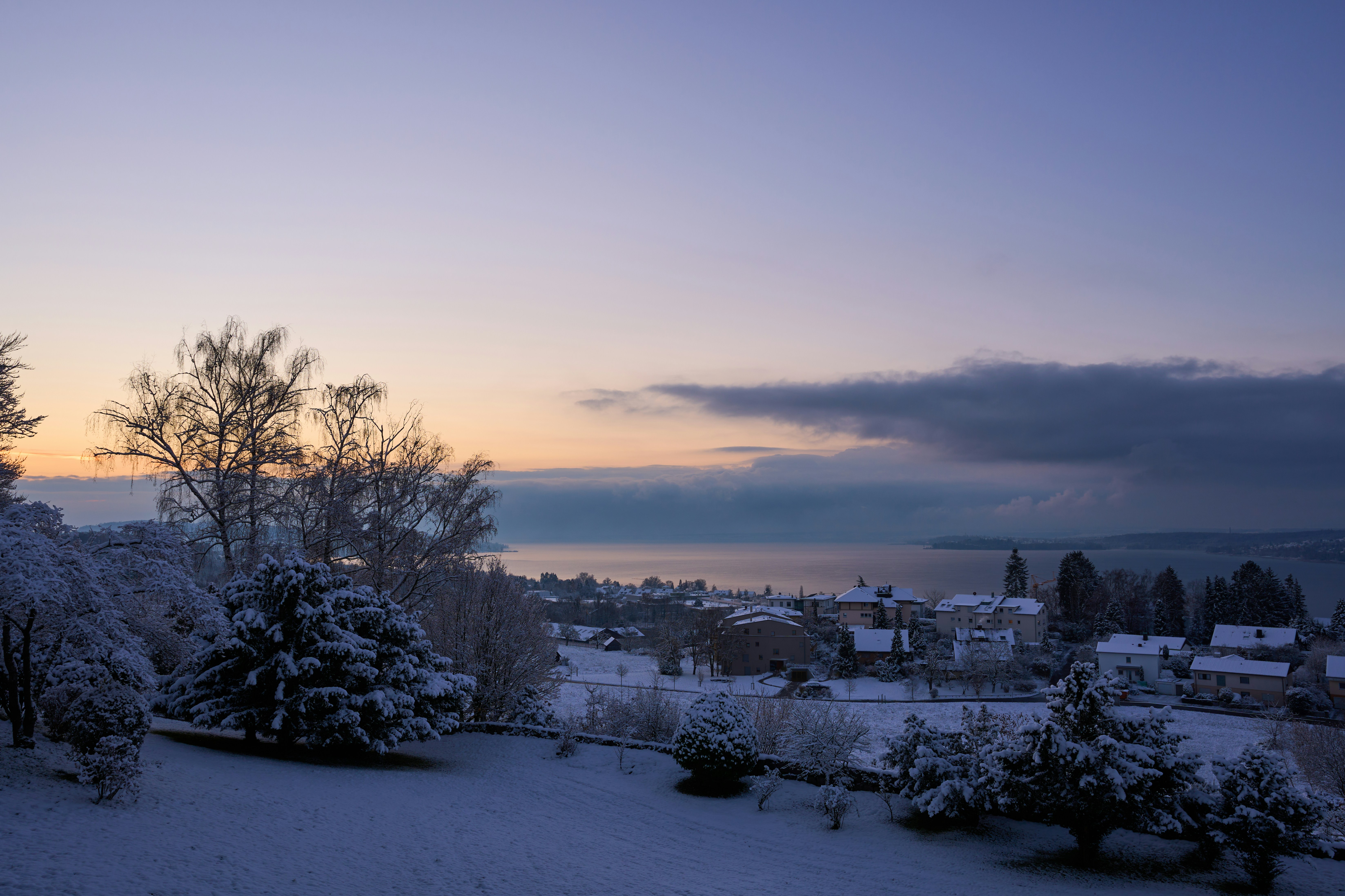 Photo by wolfgang_hasselmann