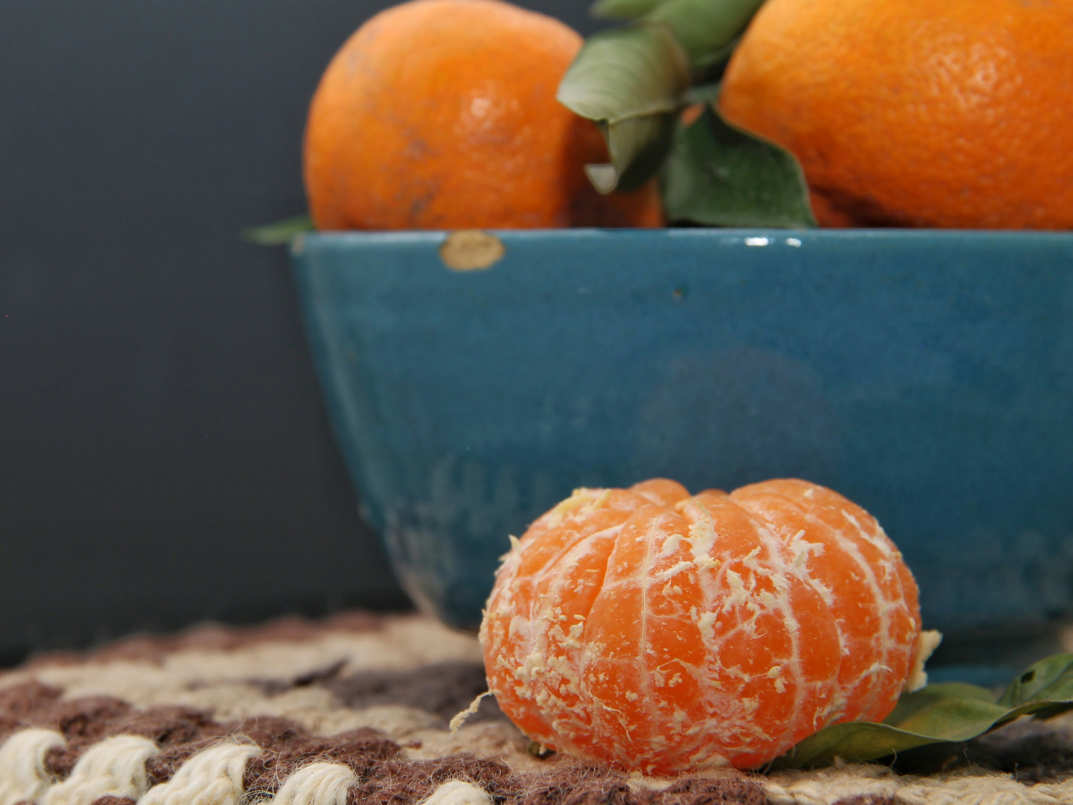 Photo by saharkhosrogorji