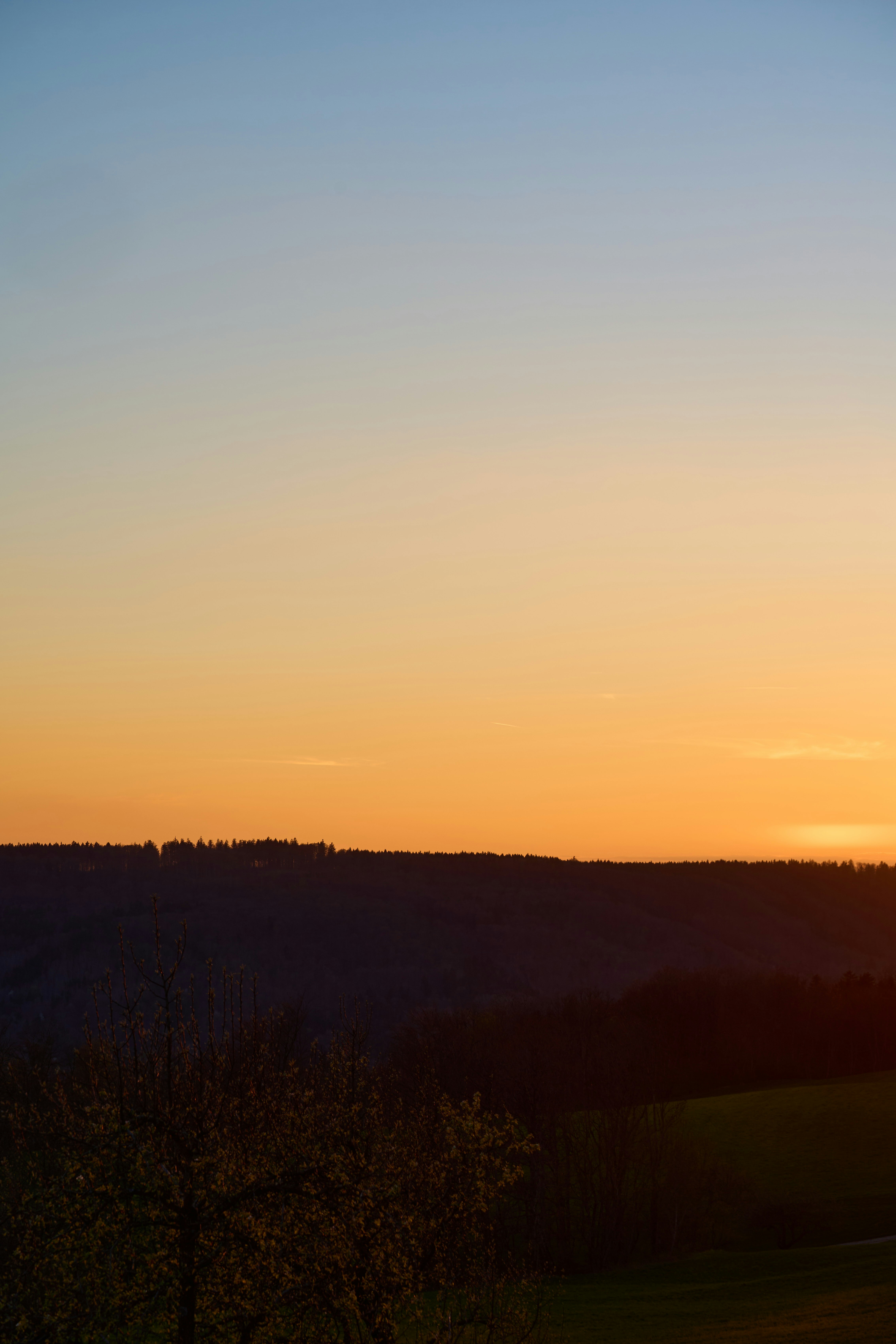 Photo by wolfgang_hasselmann