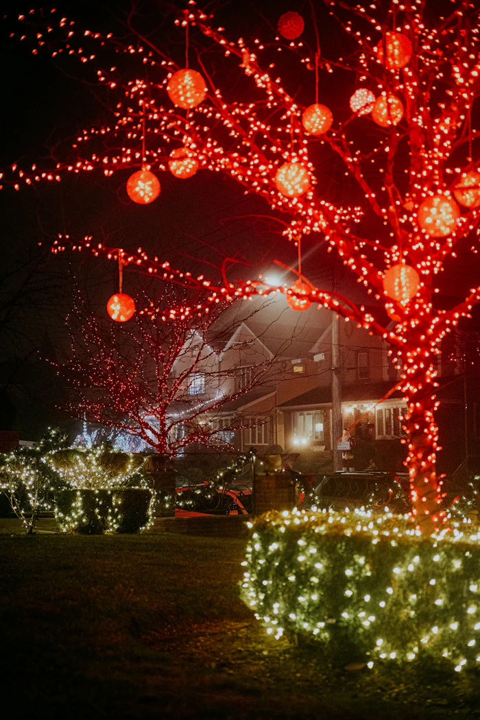 Lit tree in a front yard