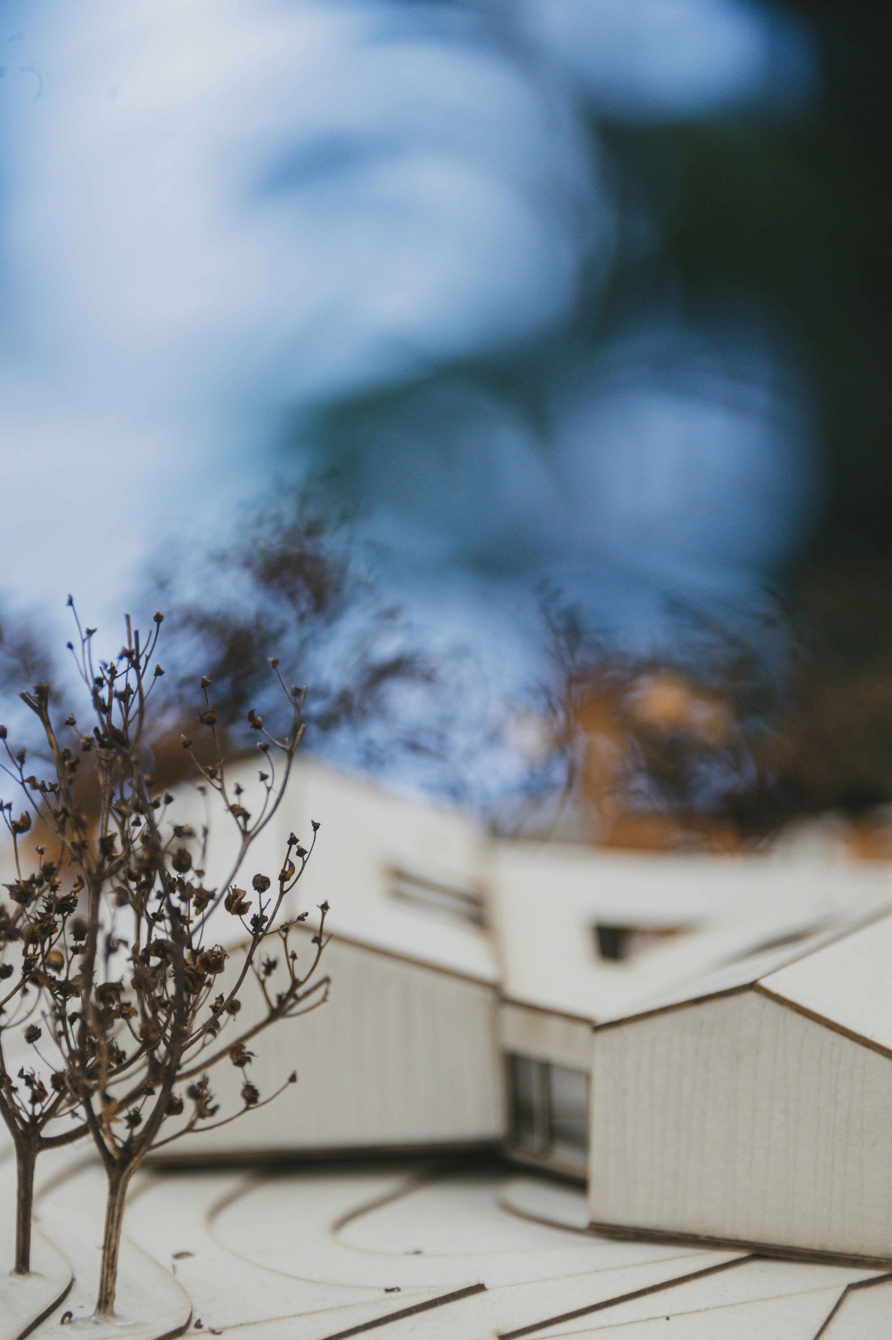 A blurry photo of a building with a tree in the foreground