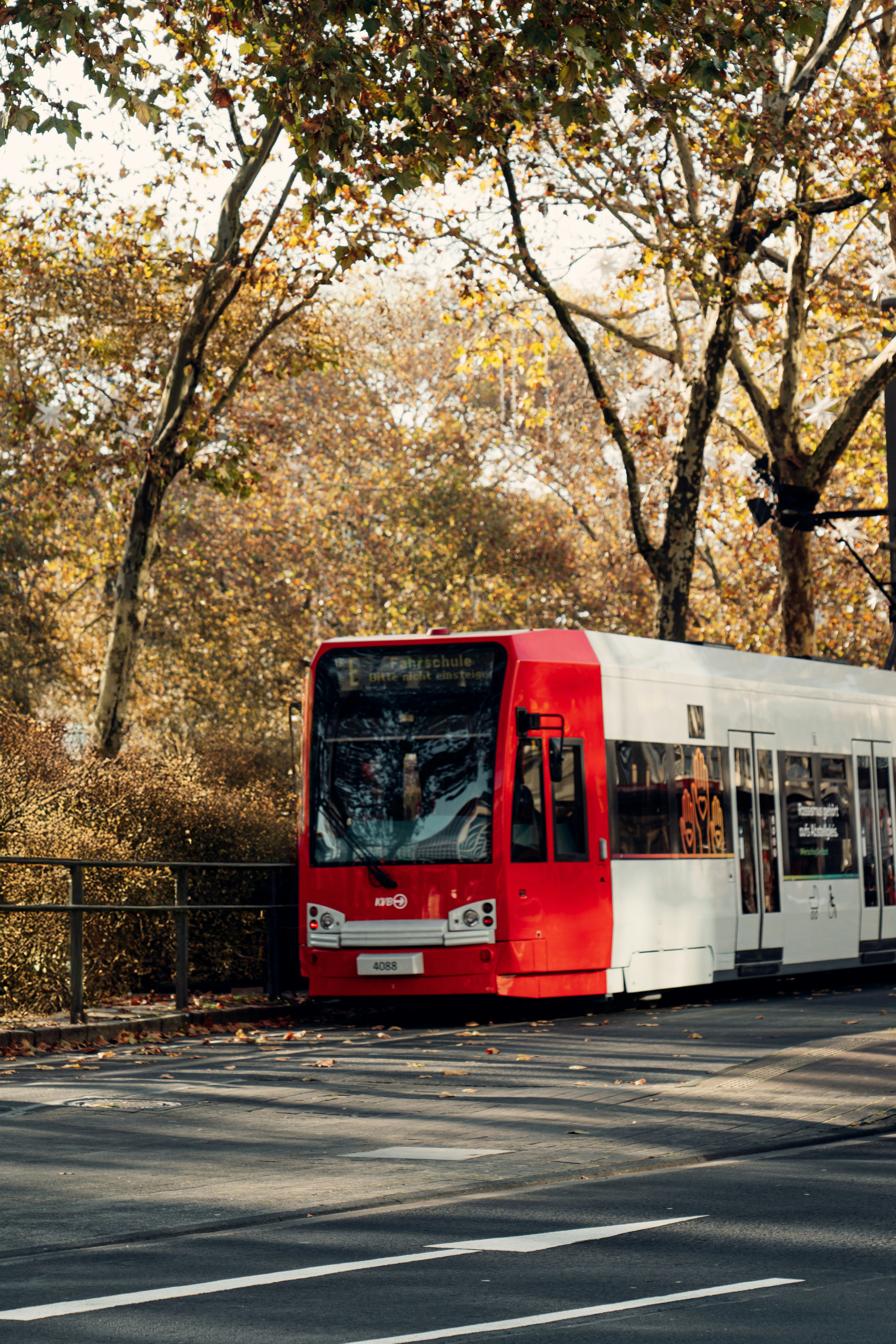 Photo by salahdarwish