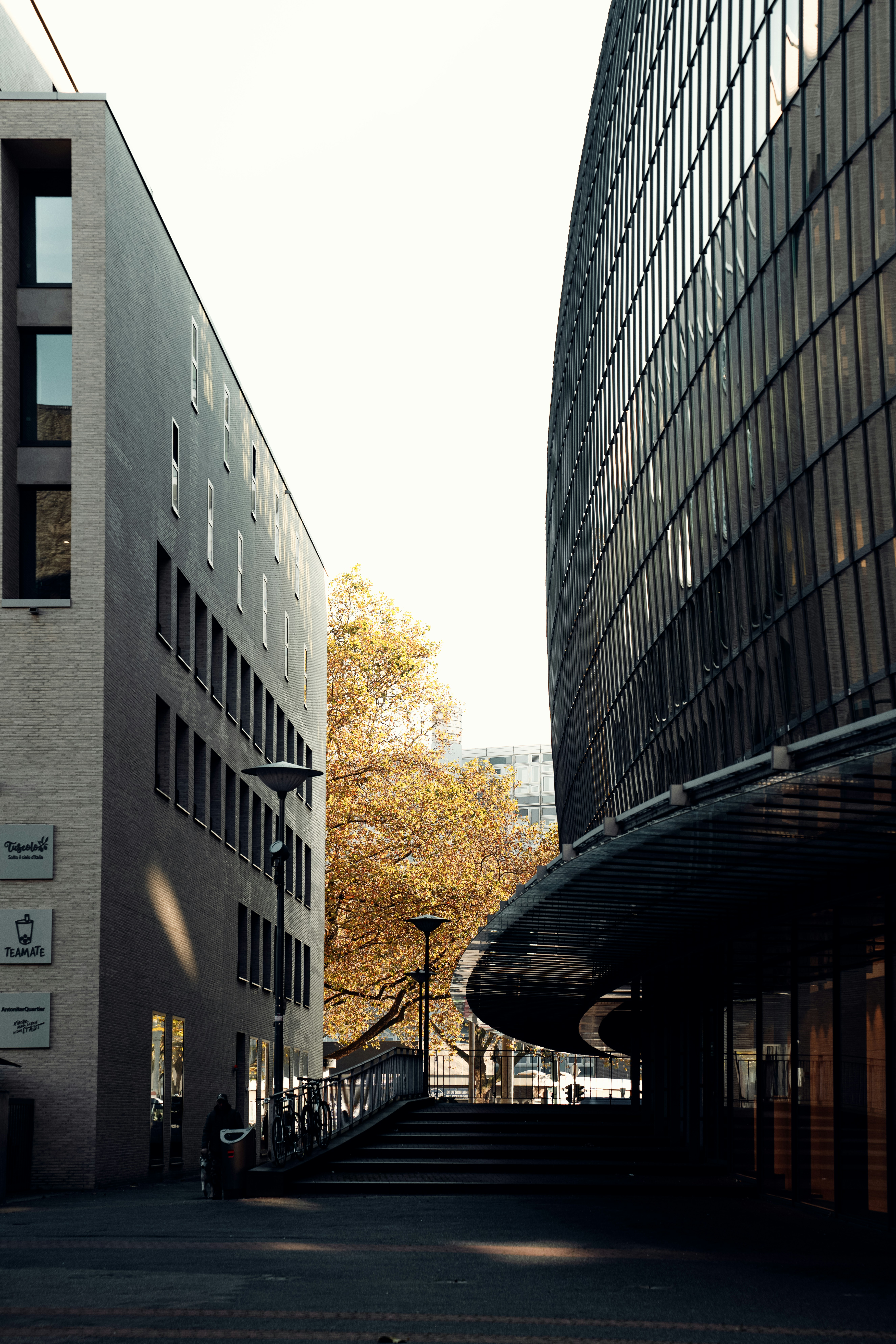 Photo by salahdarwish