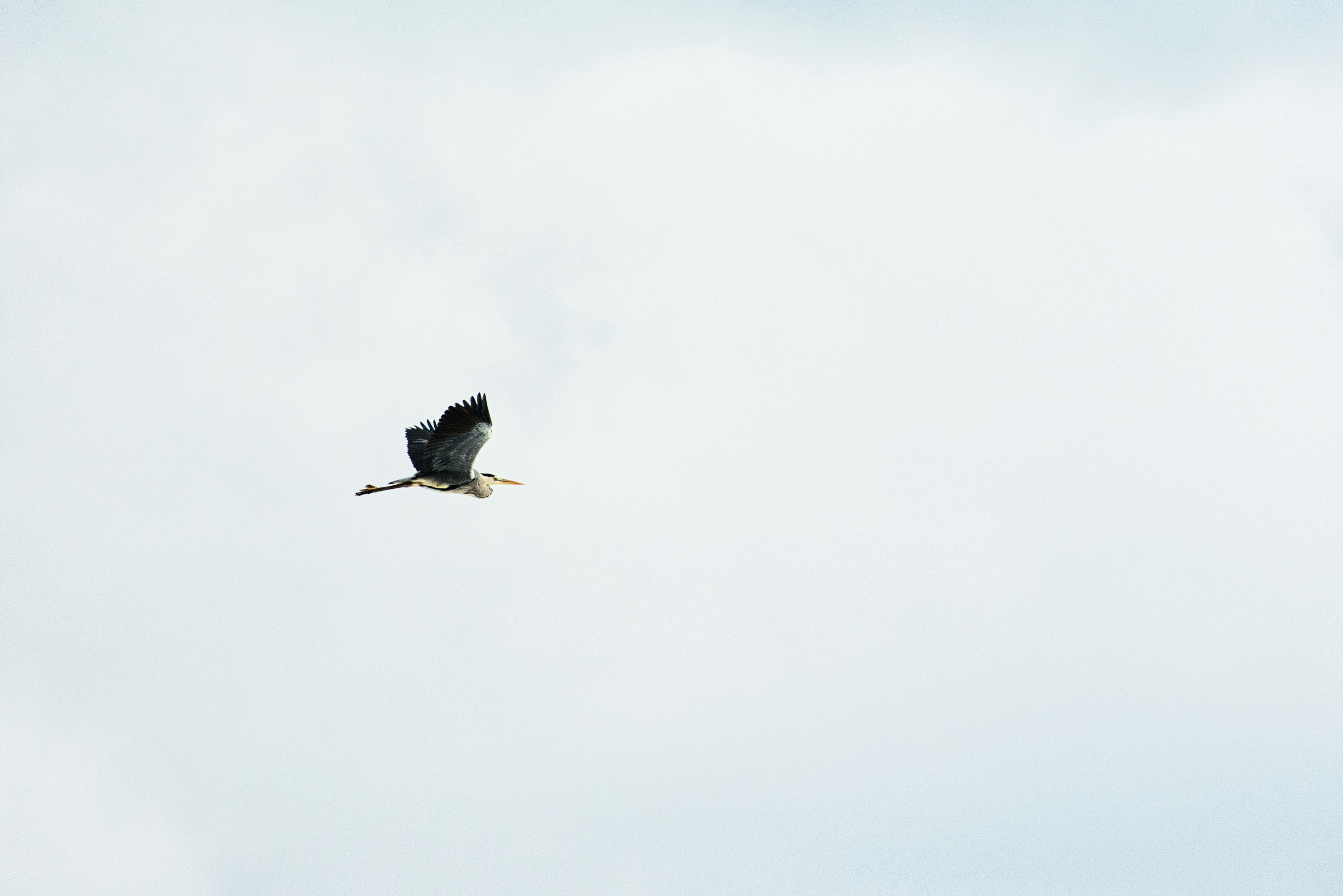 Photo by mindfulartdiction