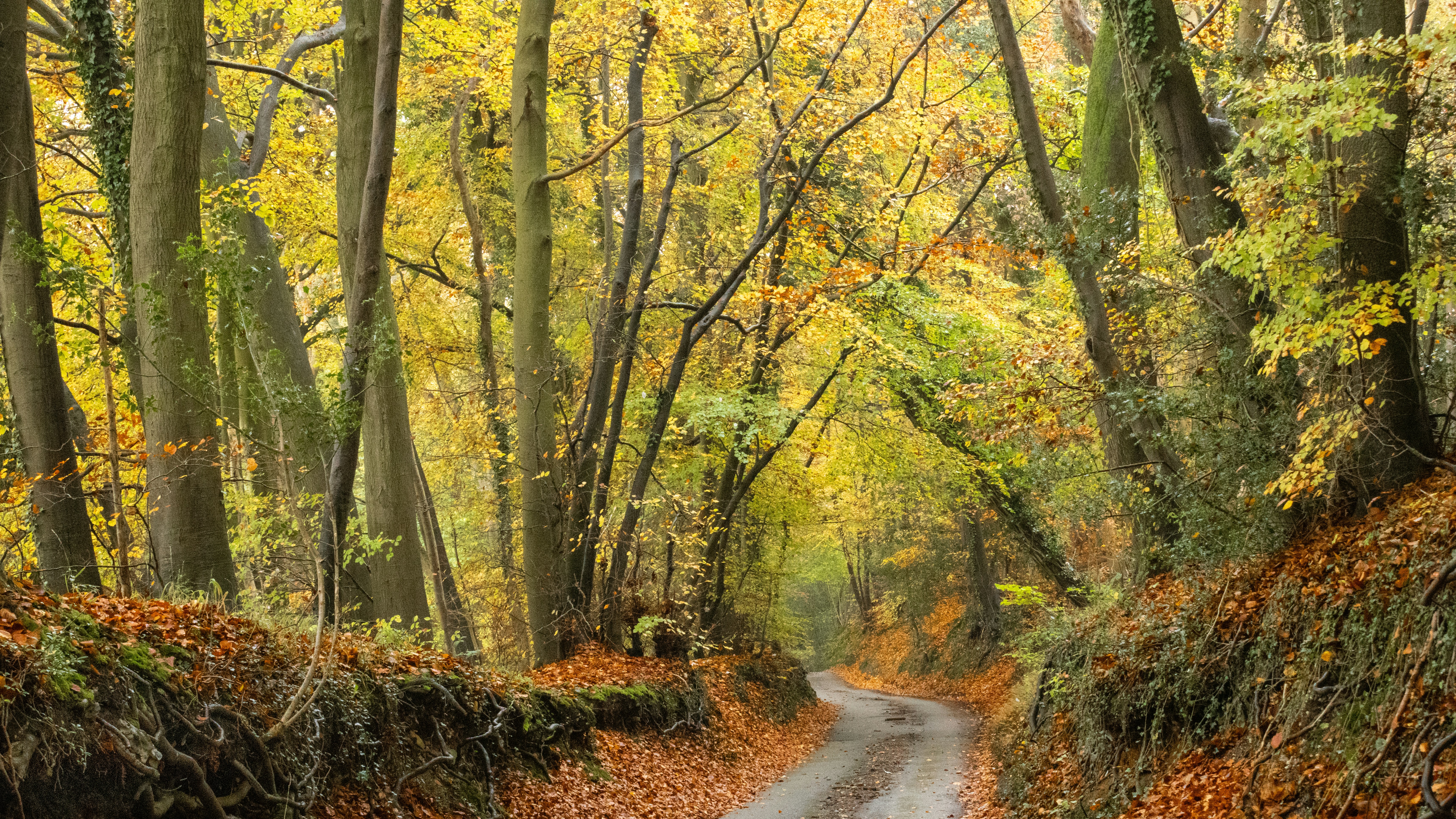 Photo by kevinhessey