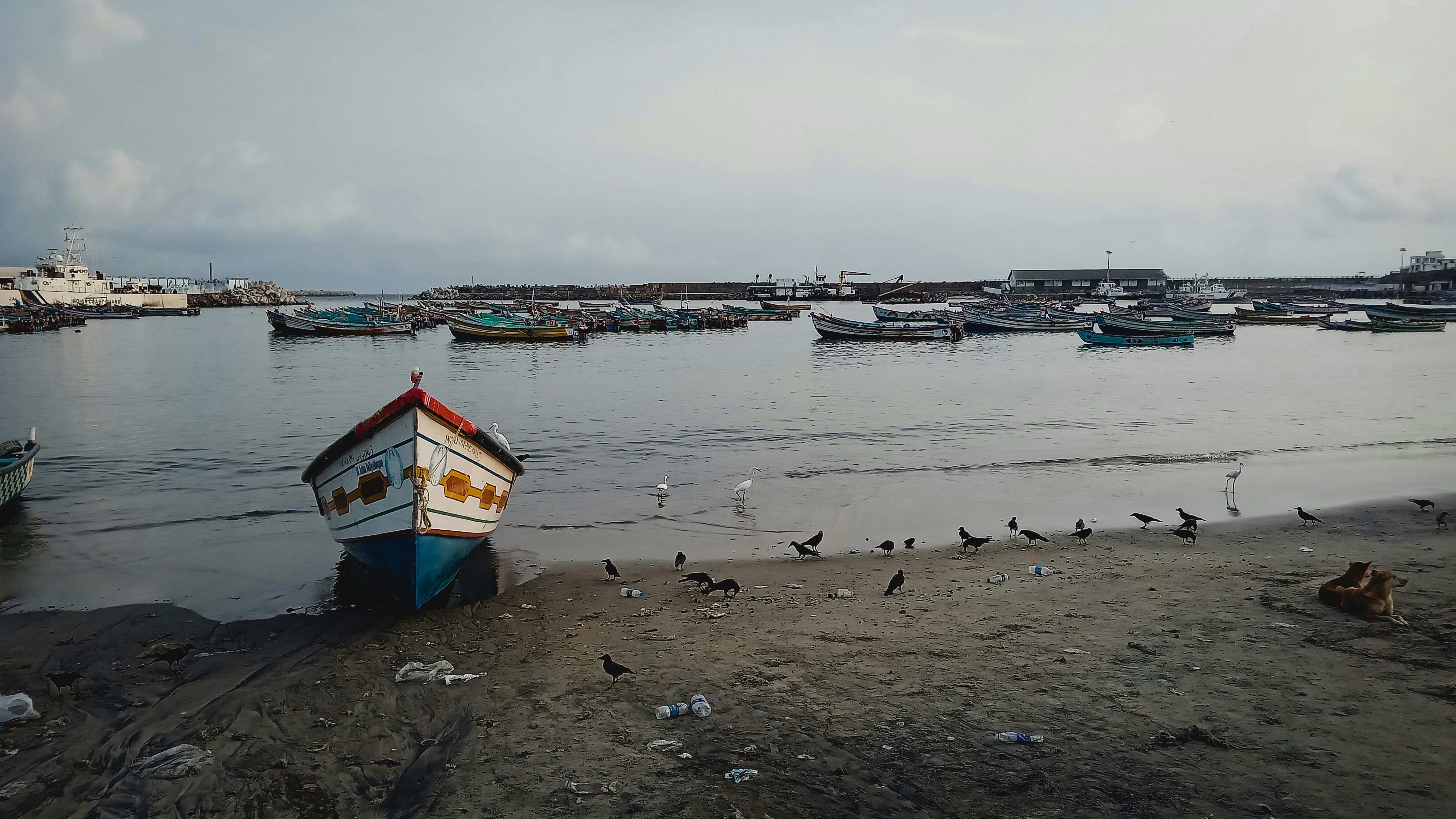 Photo by jithinvijayamohanan