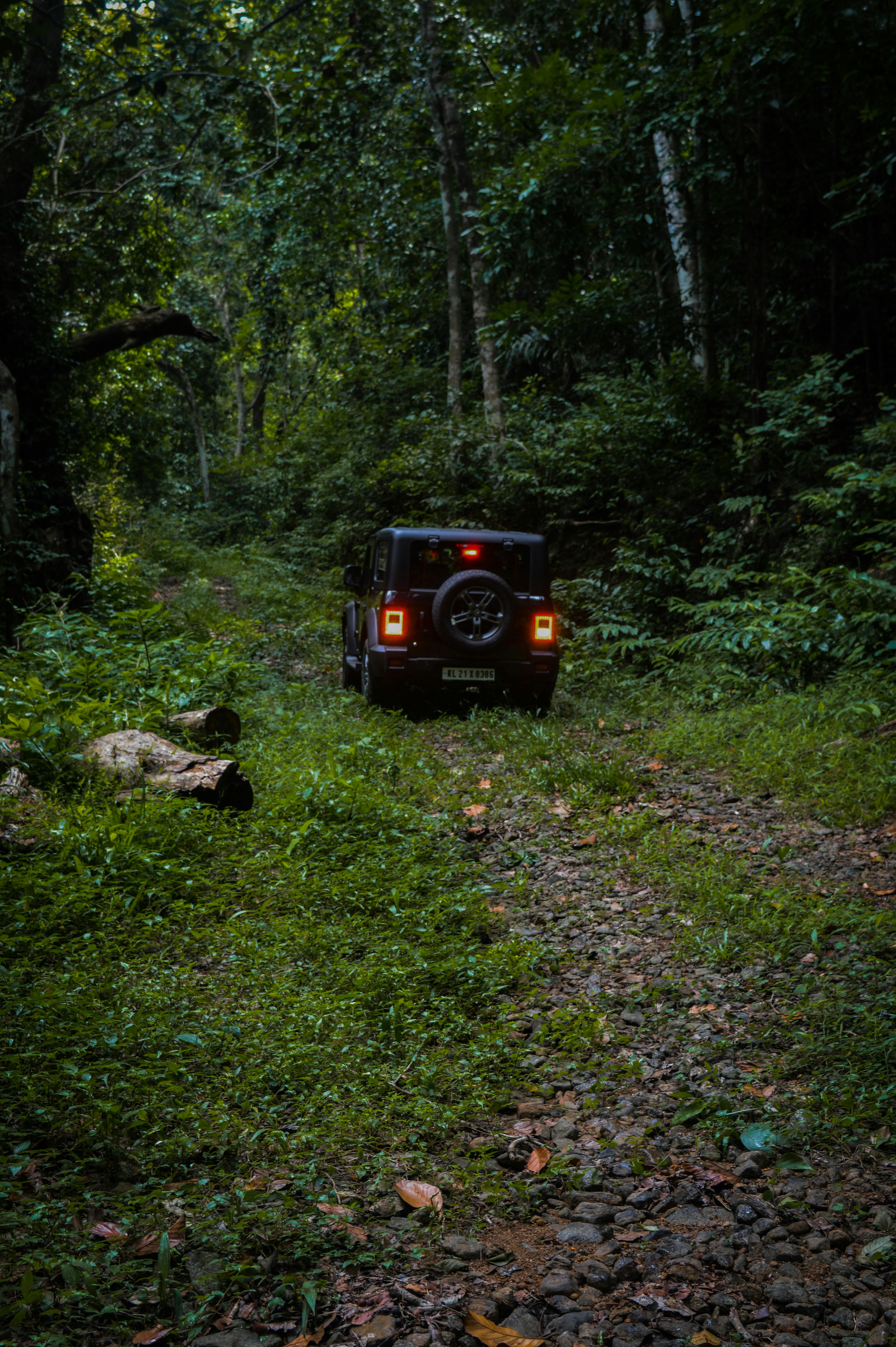 Photo by jithinvijayamohanan