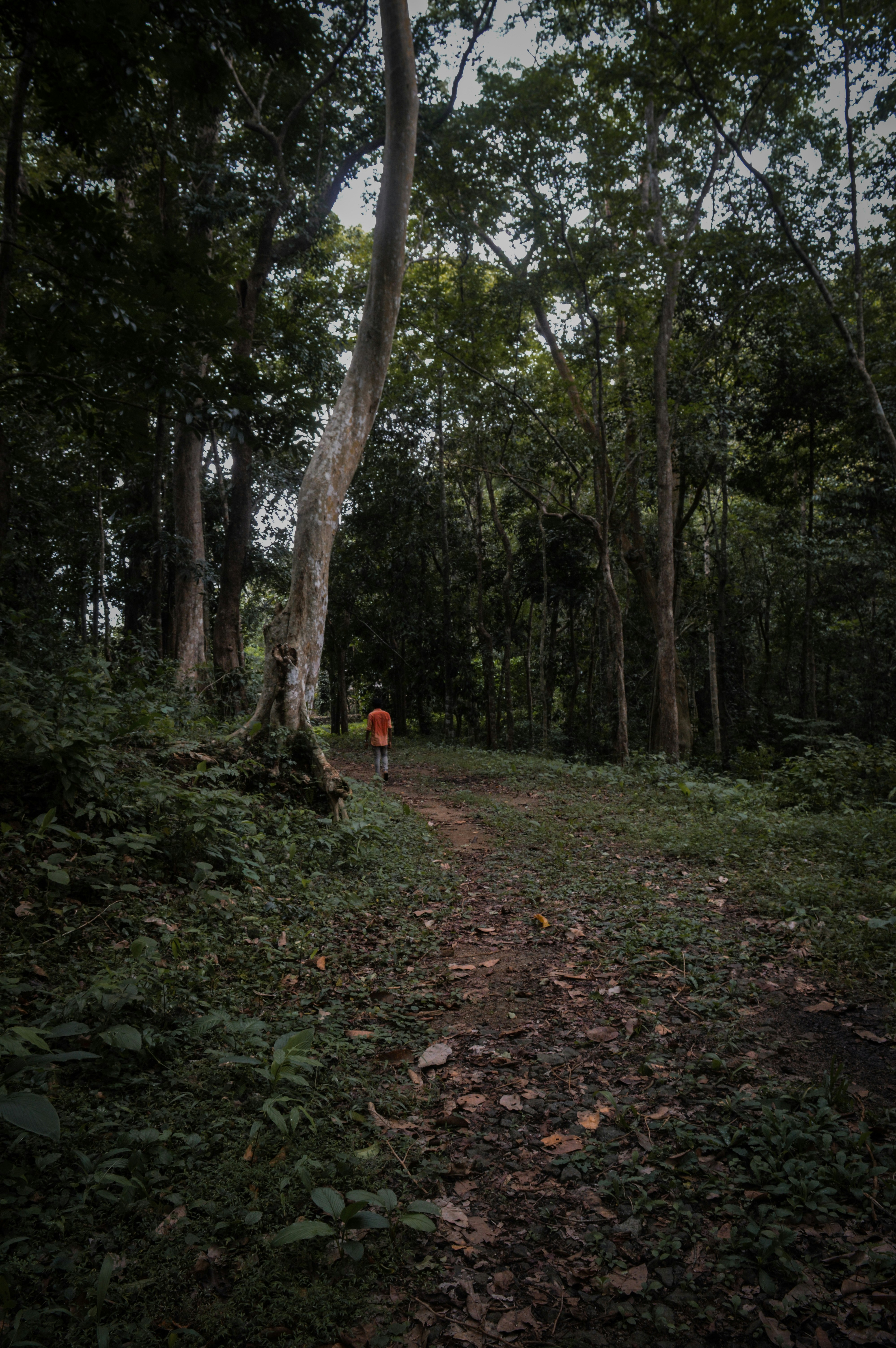 Photo by jithinvijayamohanan