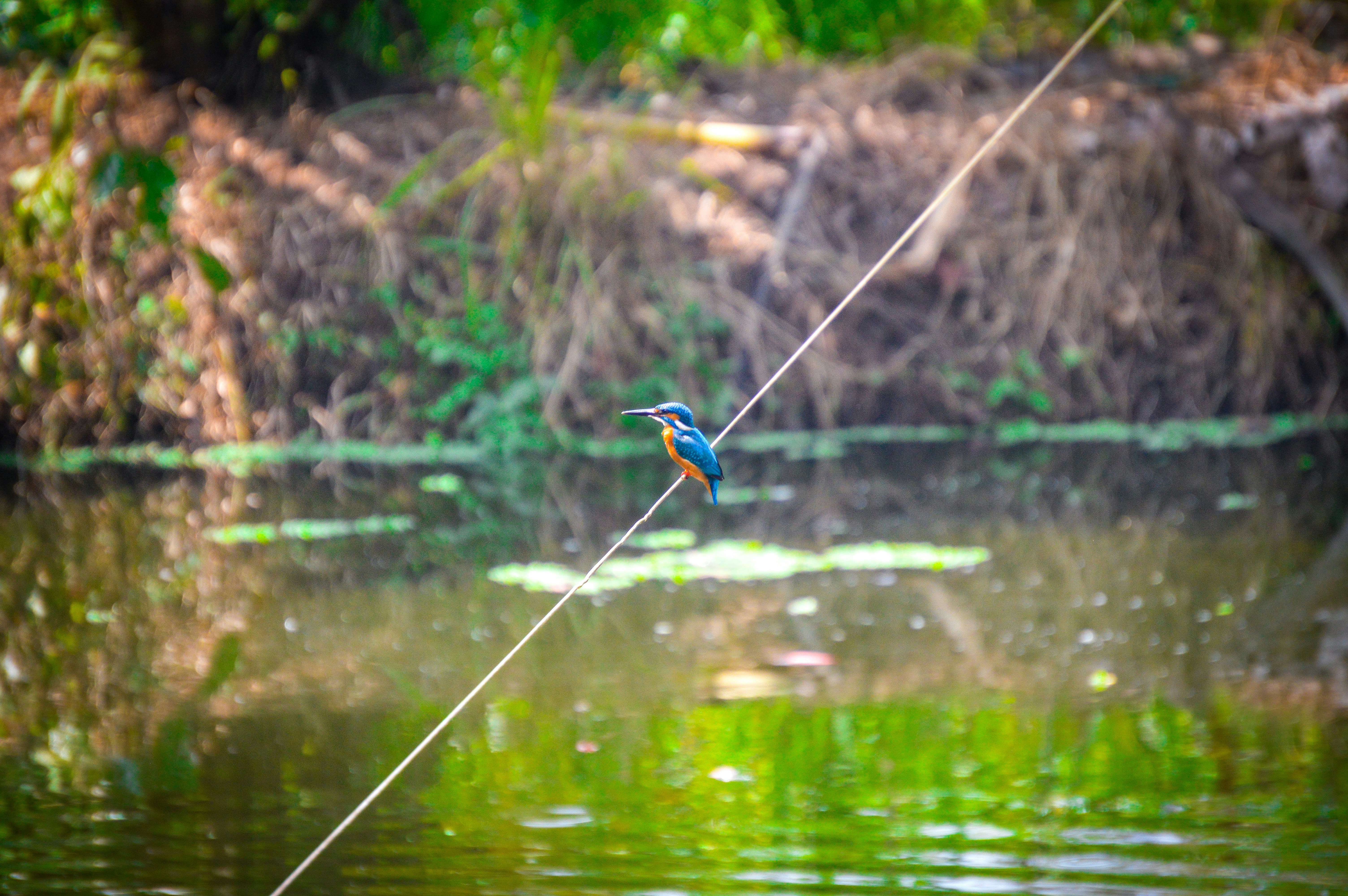 Photo by jithinvijayamohanan