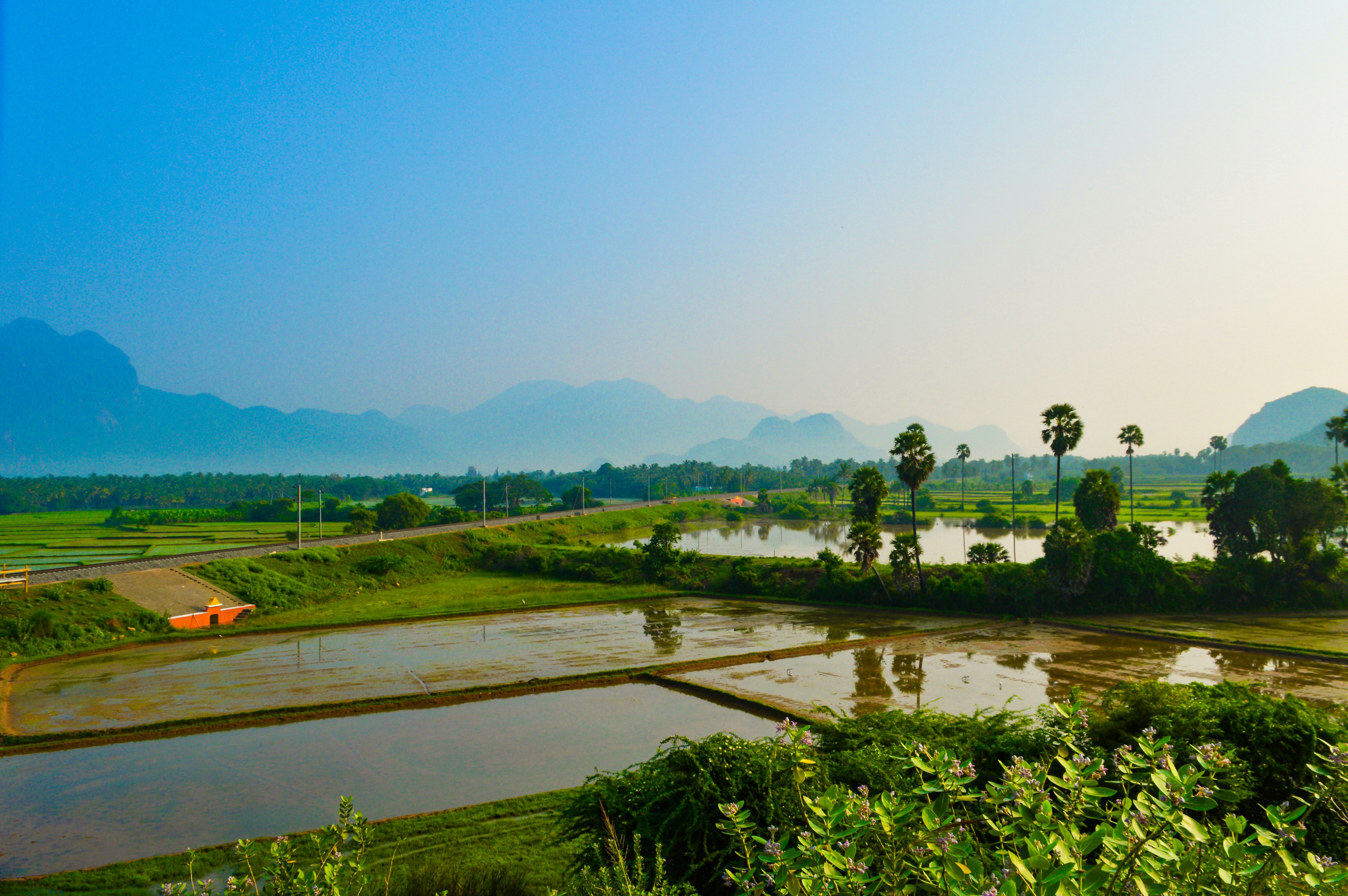 Photo by jithinvijayamohanan