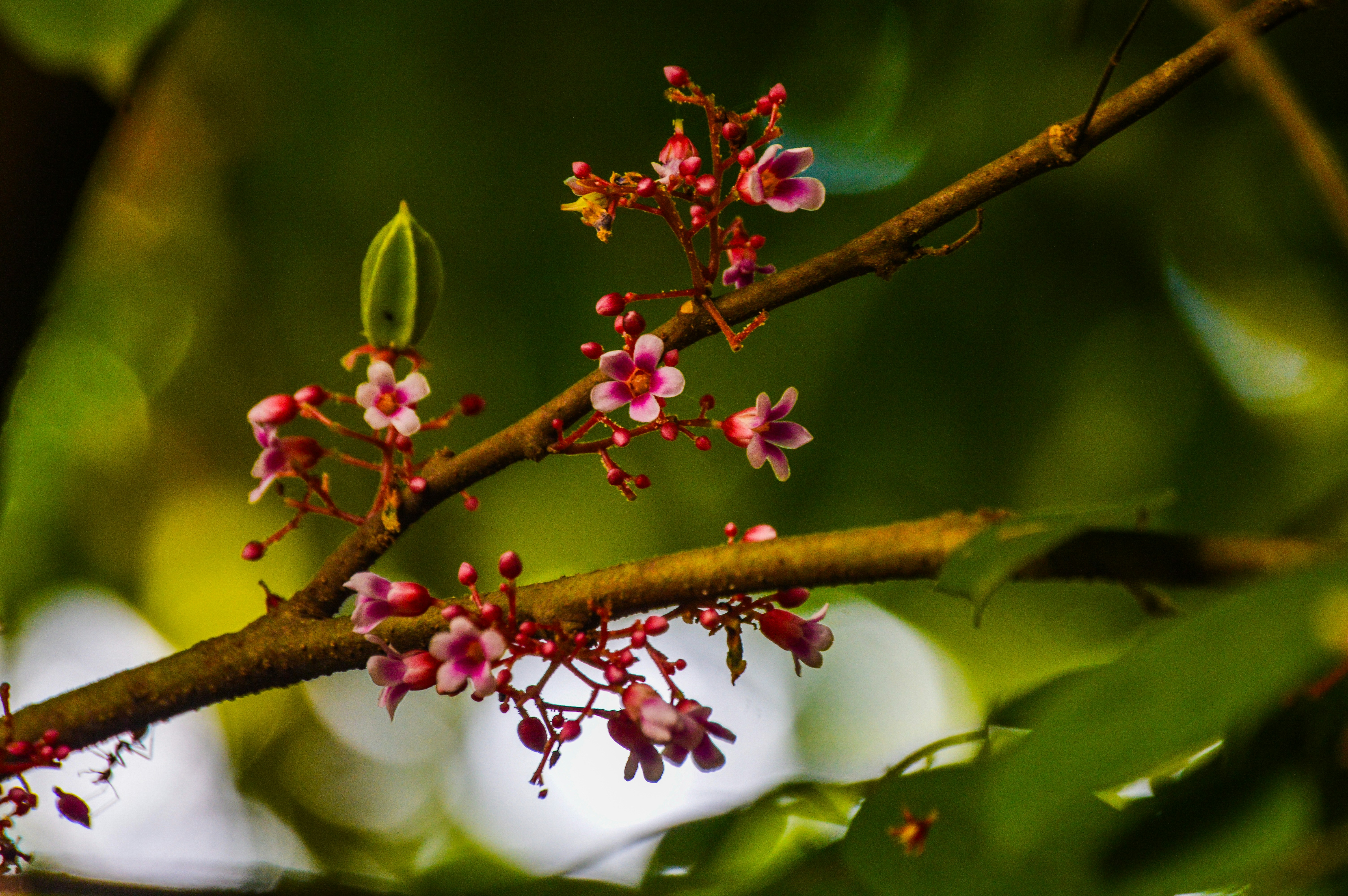 Photo by jithinvijayamohanan