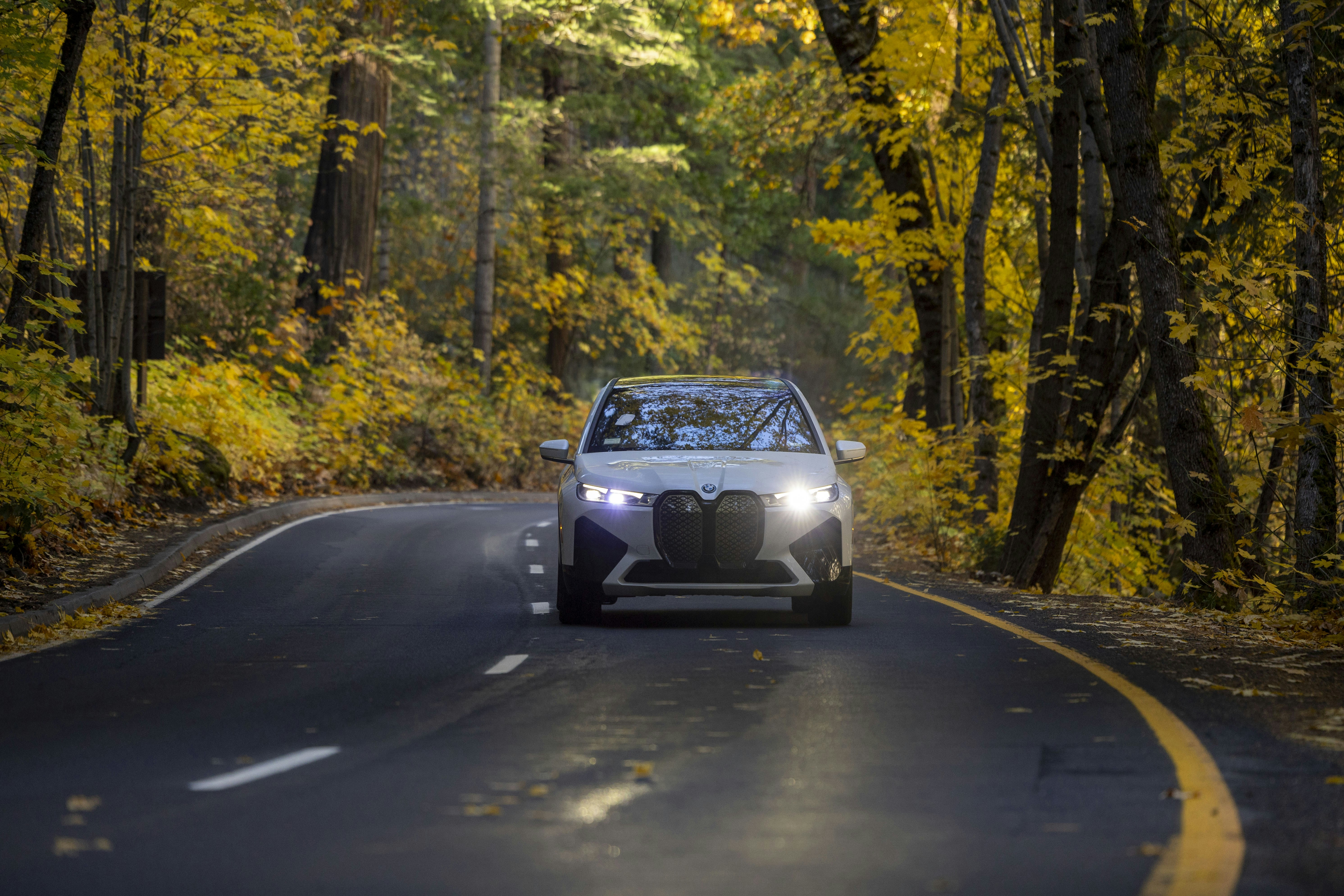 Photo by leo_visions_