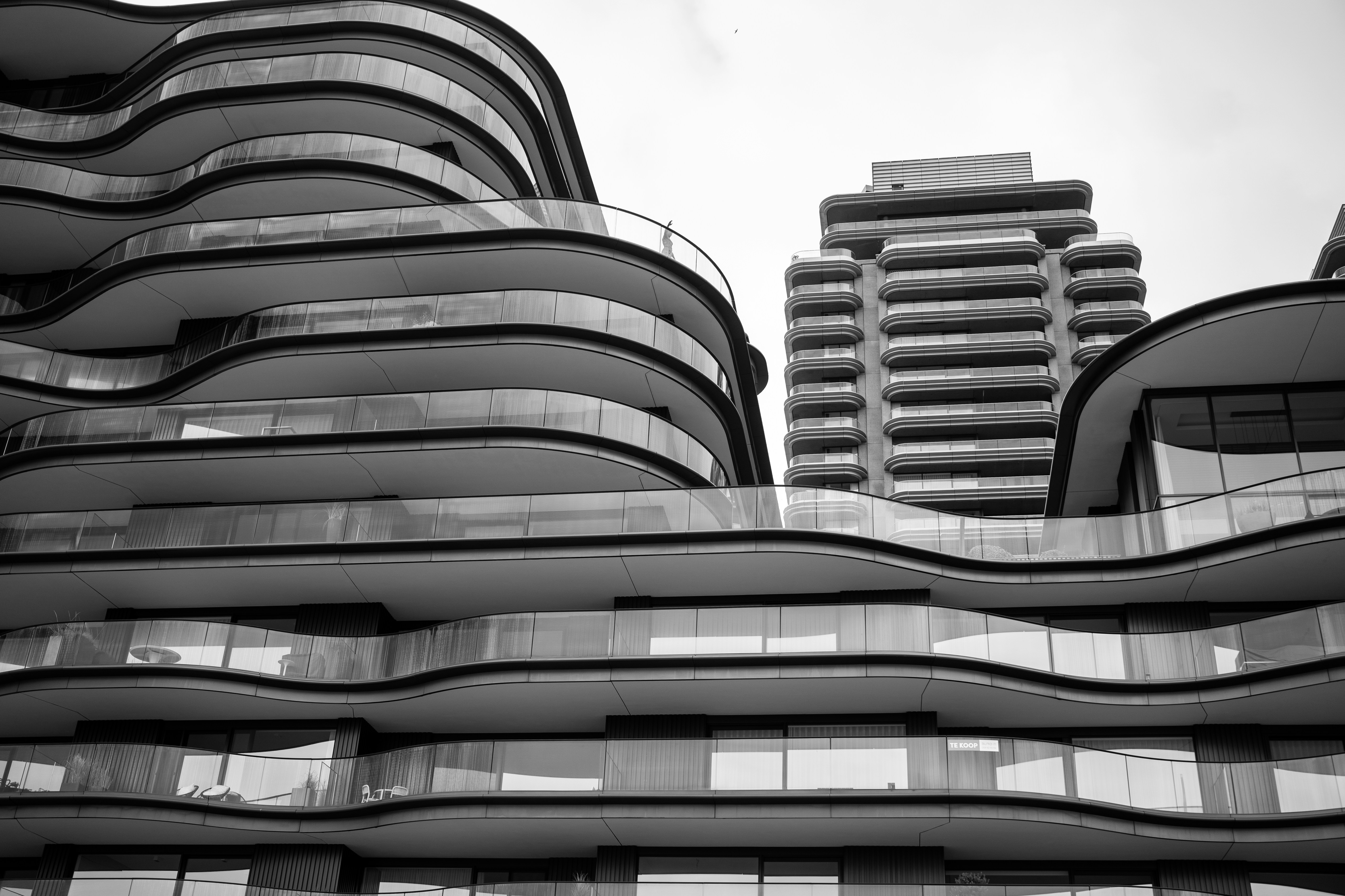 Photo by michelstock