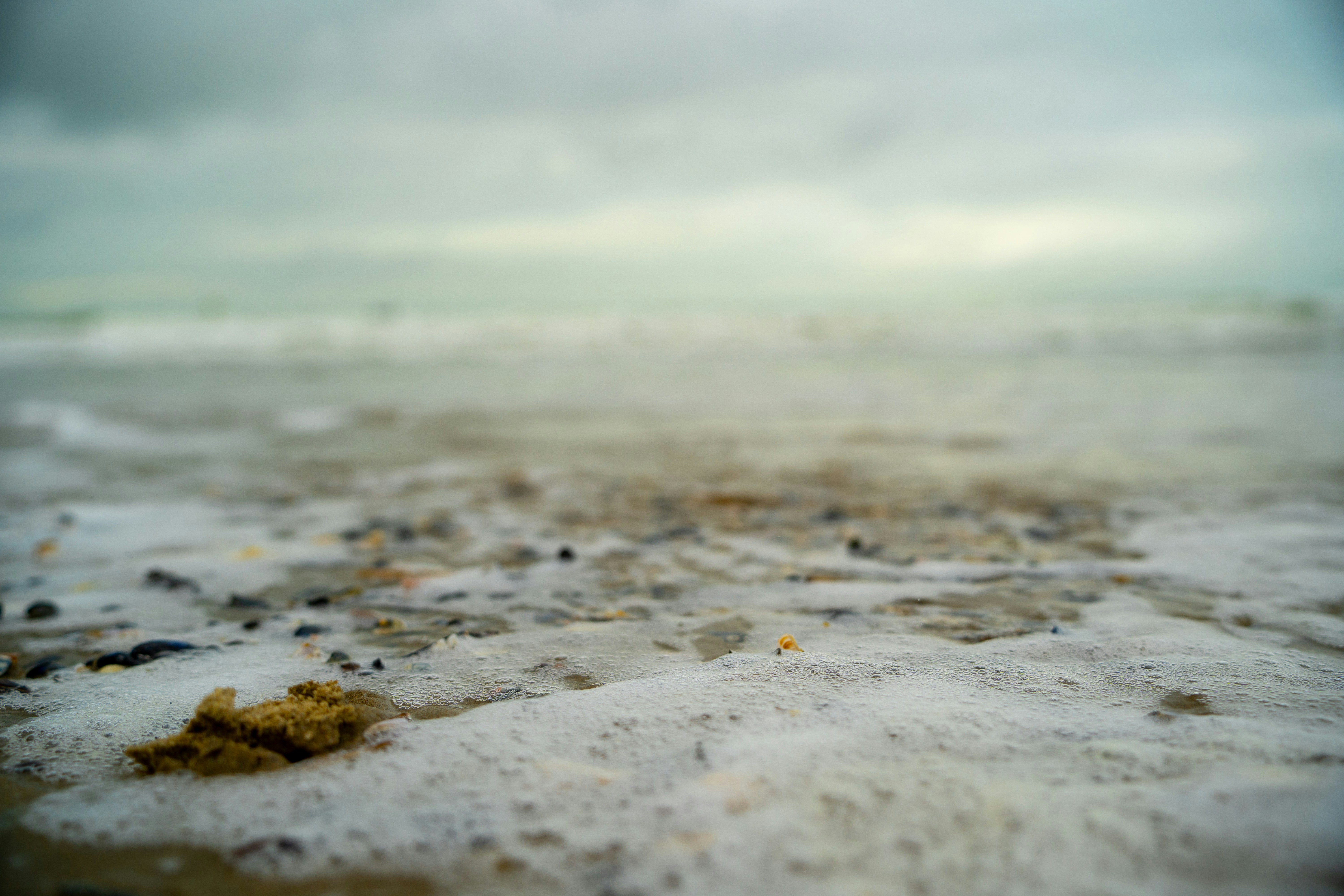 Photo by michelstock