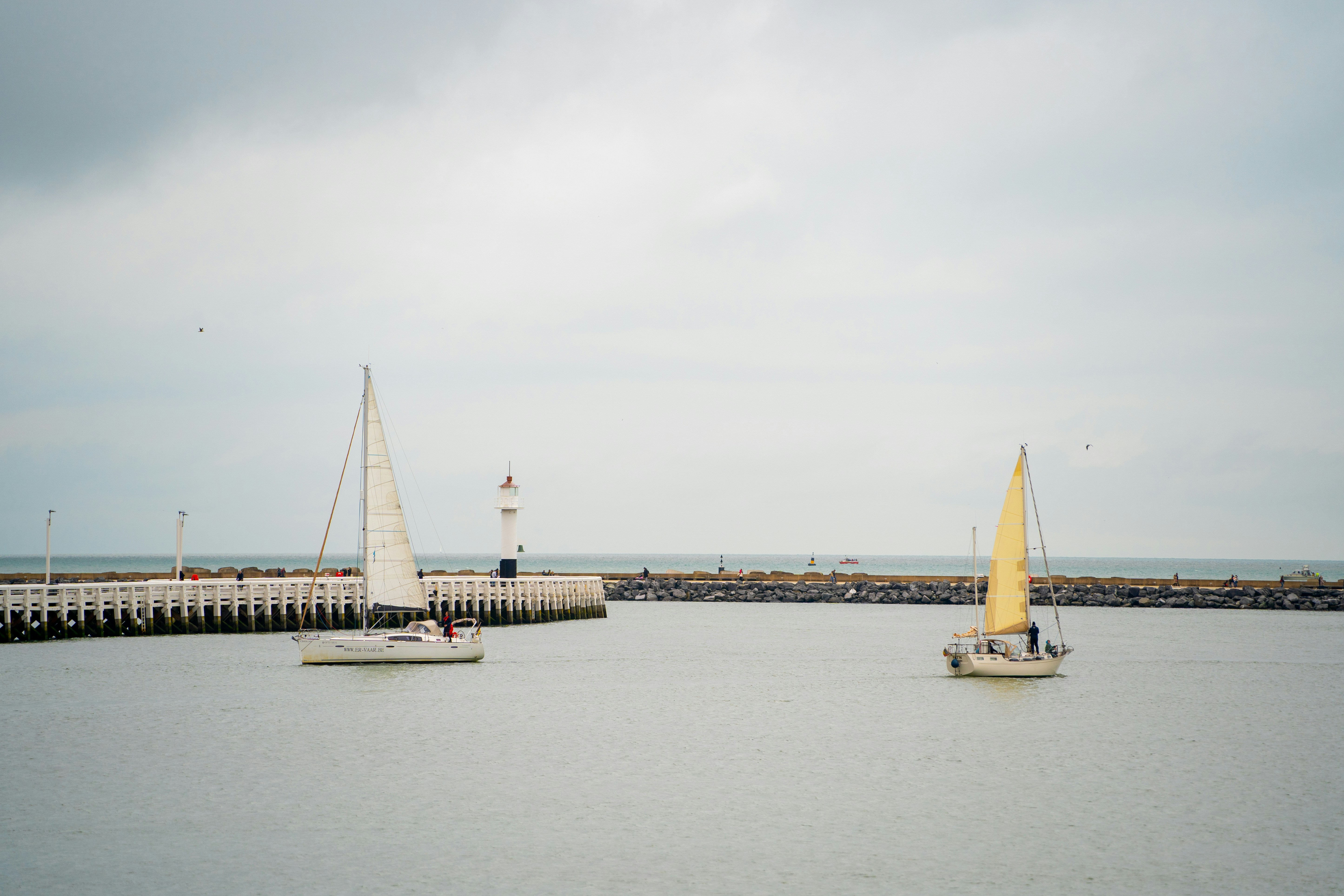 Photo by michelstock