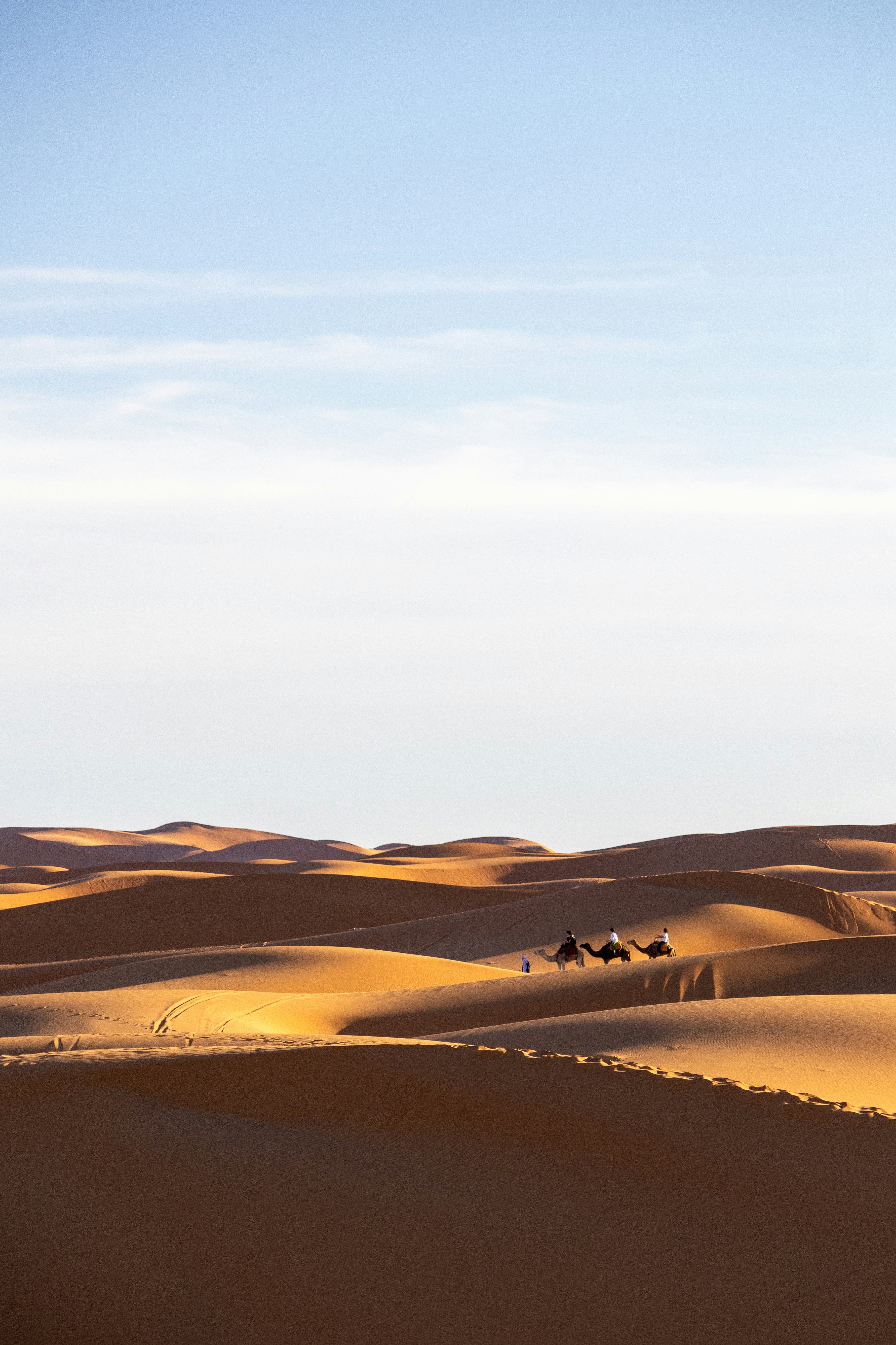 Photo by jacekjaniczak