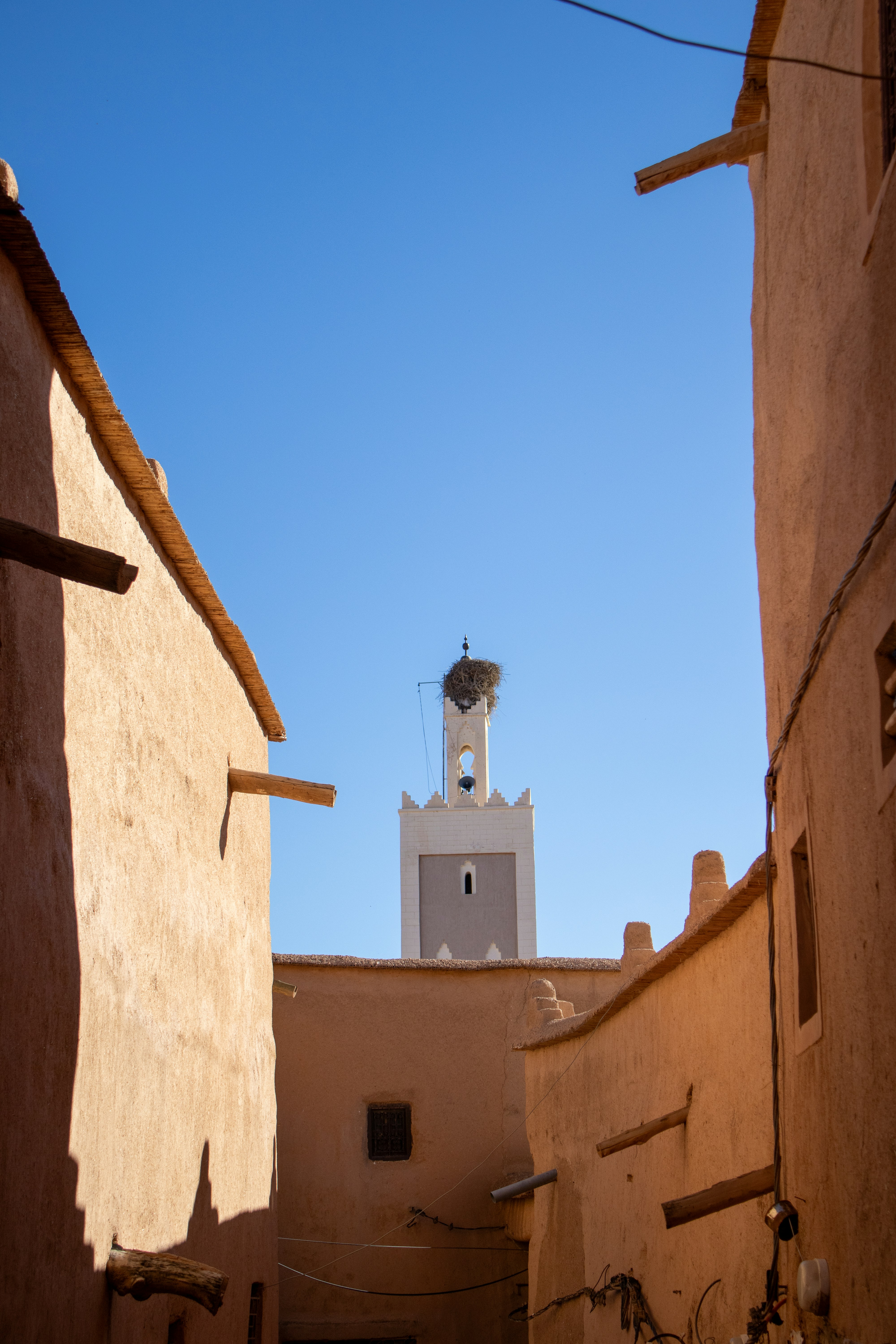 Photo by jacekjaniczak