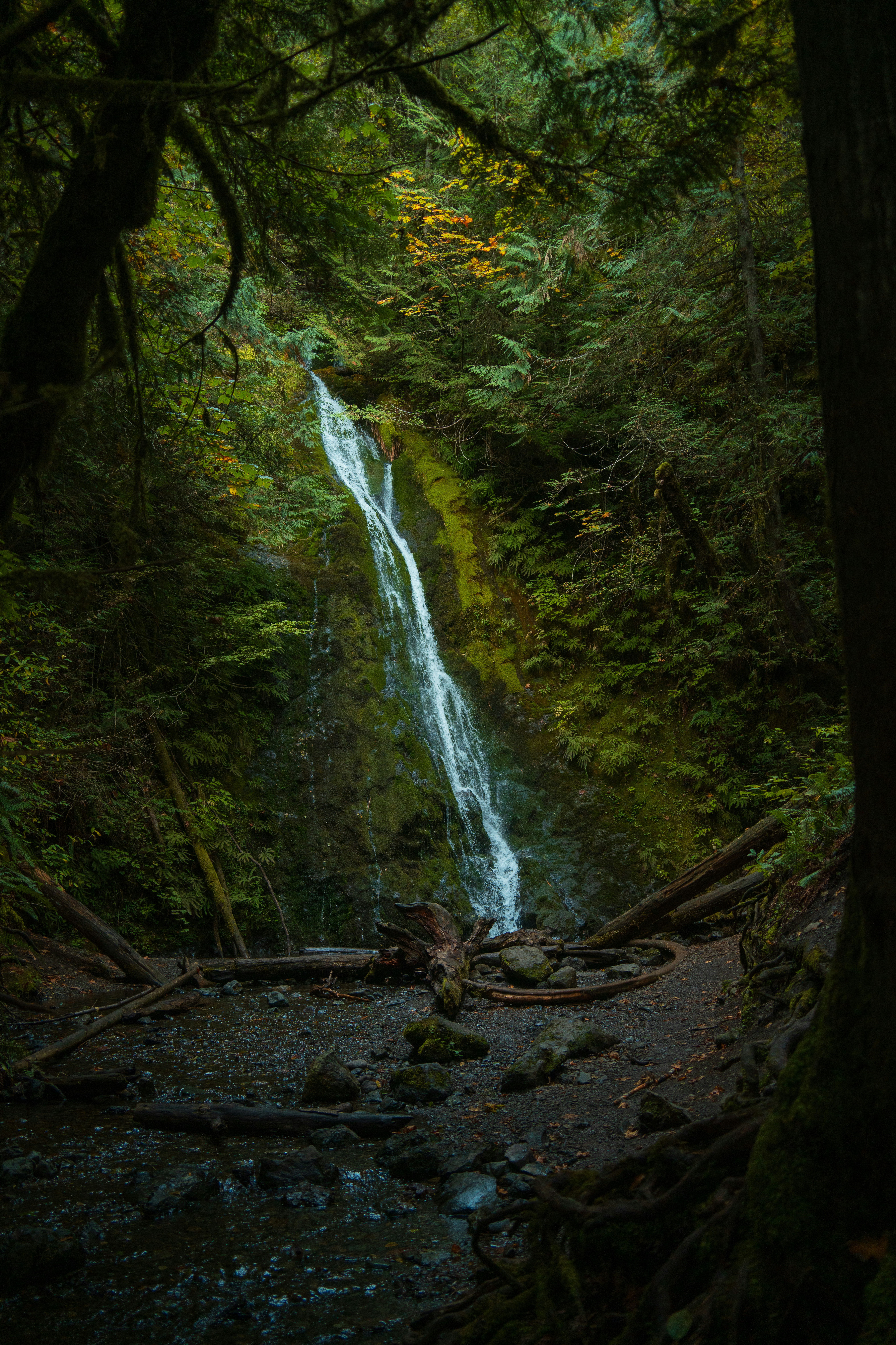 Photo by alexmoliski