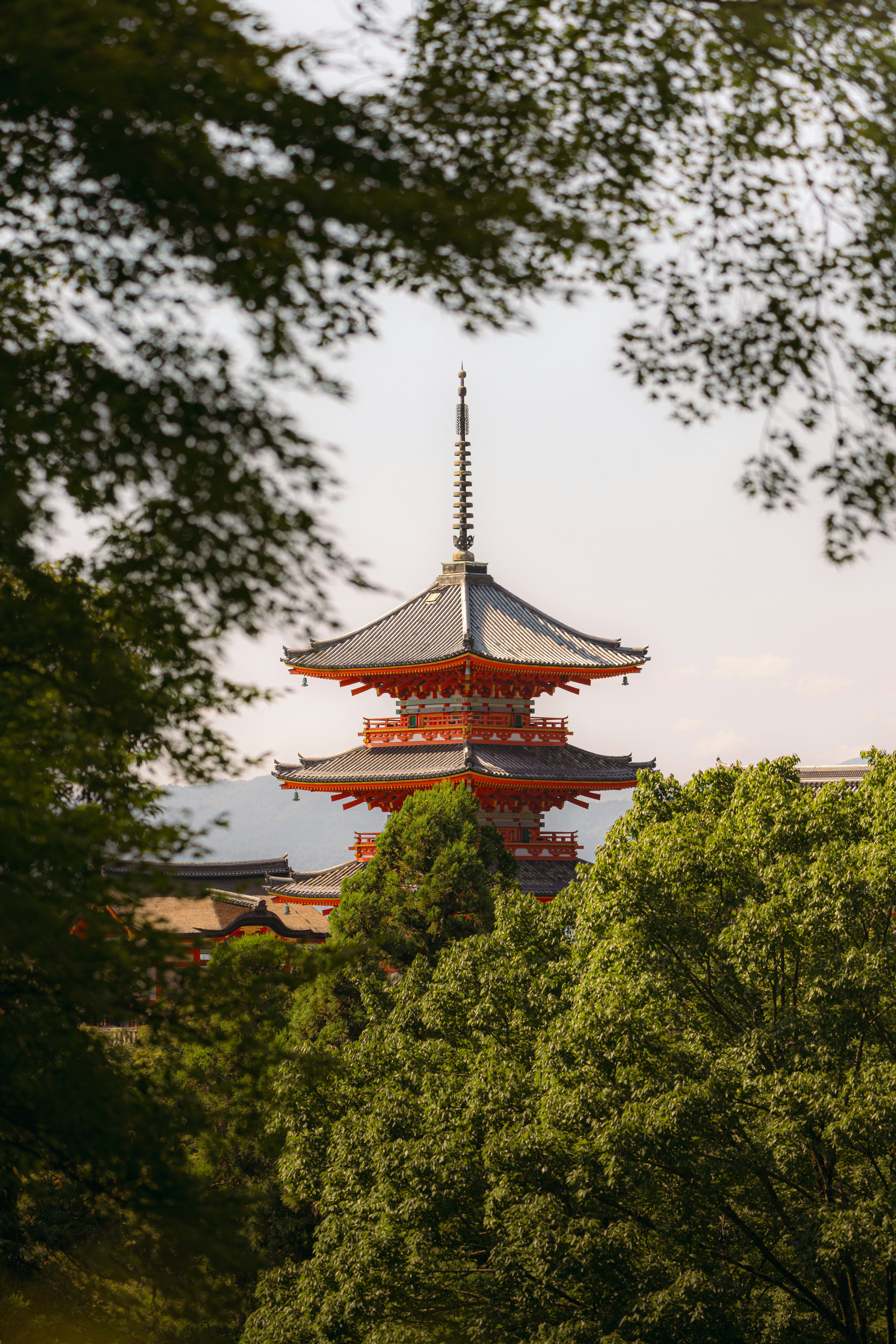 A tall building with a red roof surrounded by trees