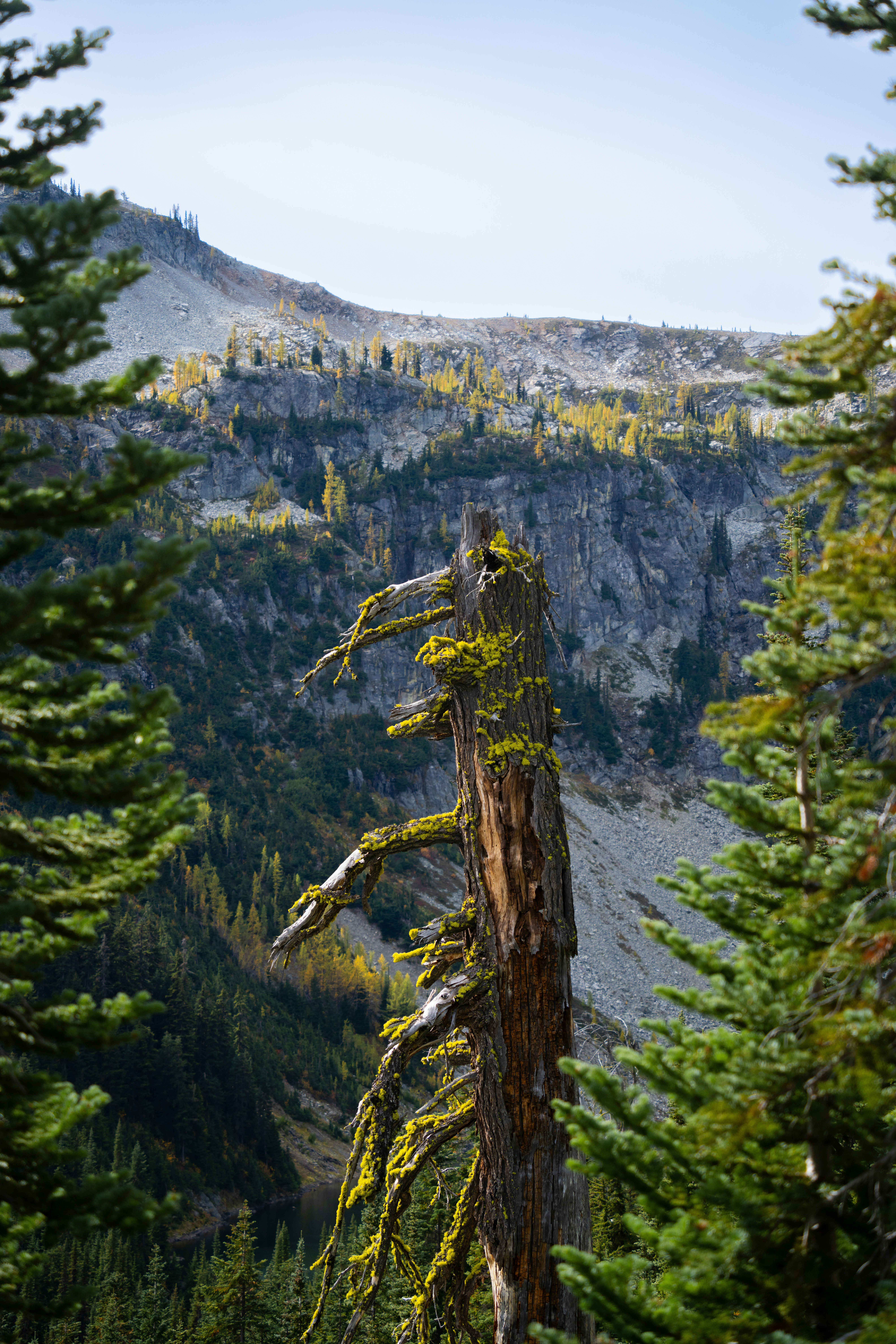 Photo by alexmoliski